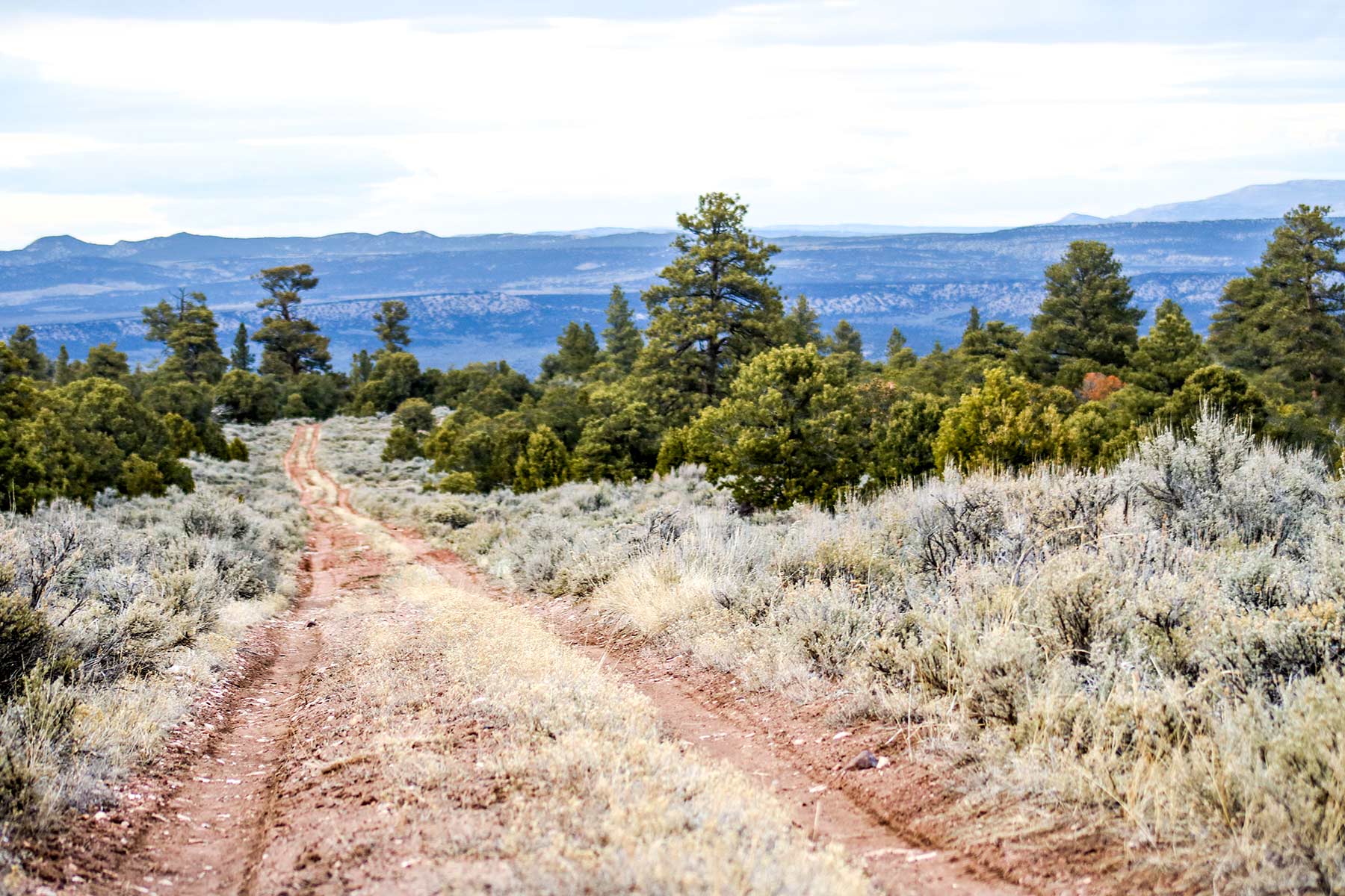 Snake River Land & Cattle Ranch Hall and Hall