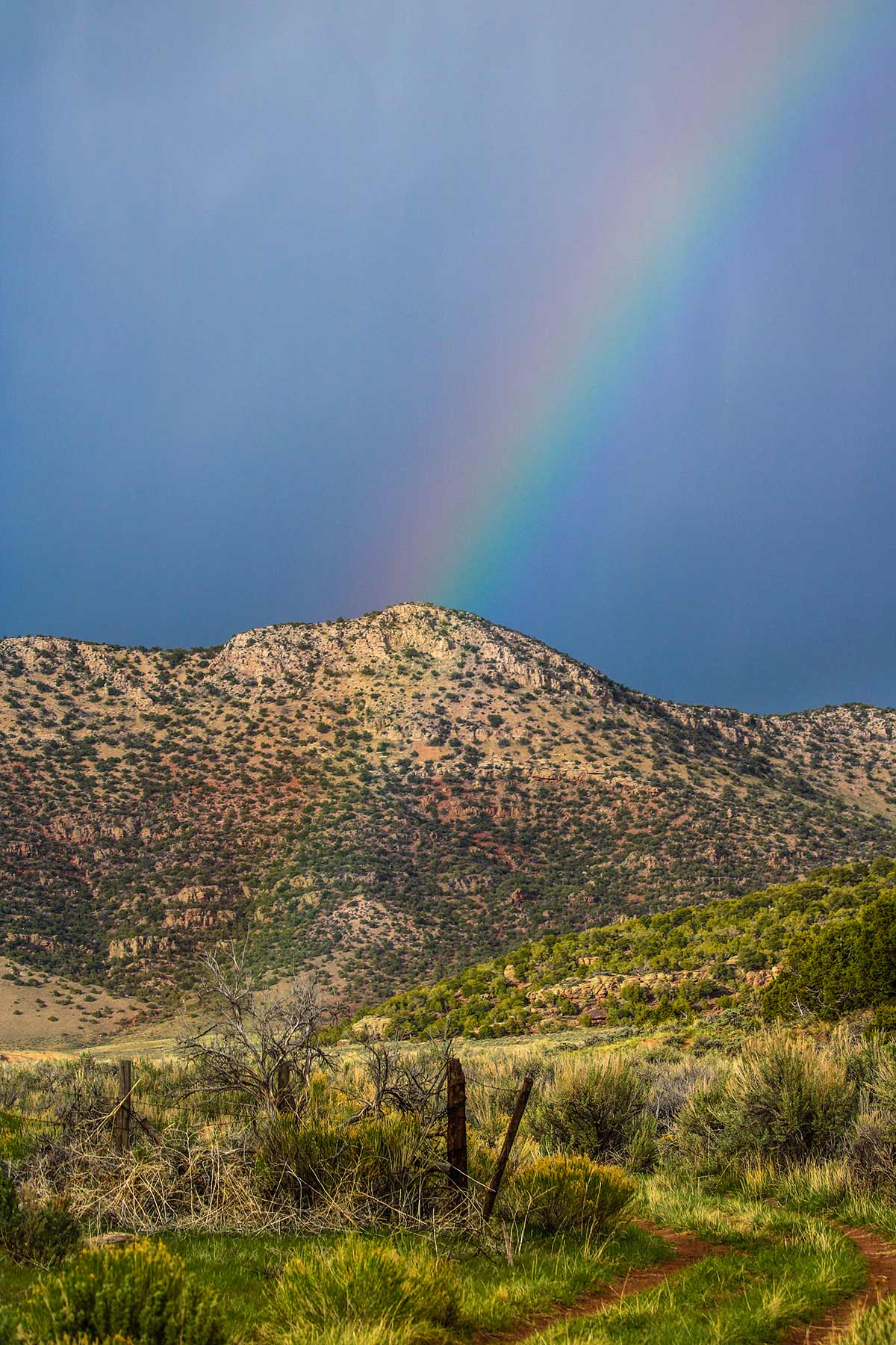 Snake River Land & Cattle Ranch Hall and Hall