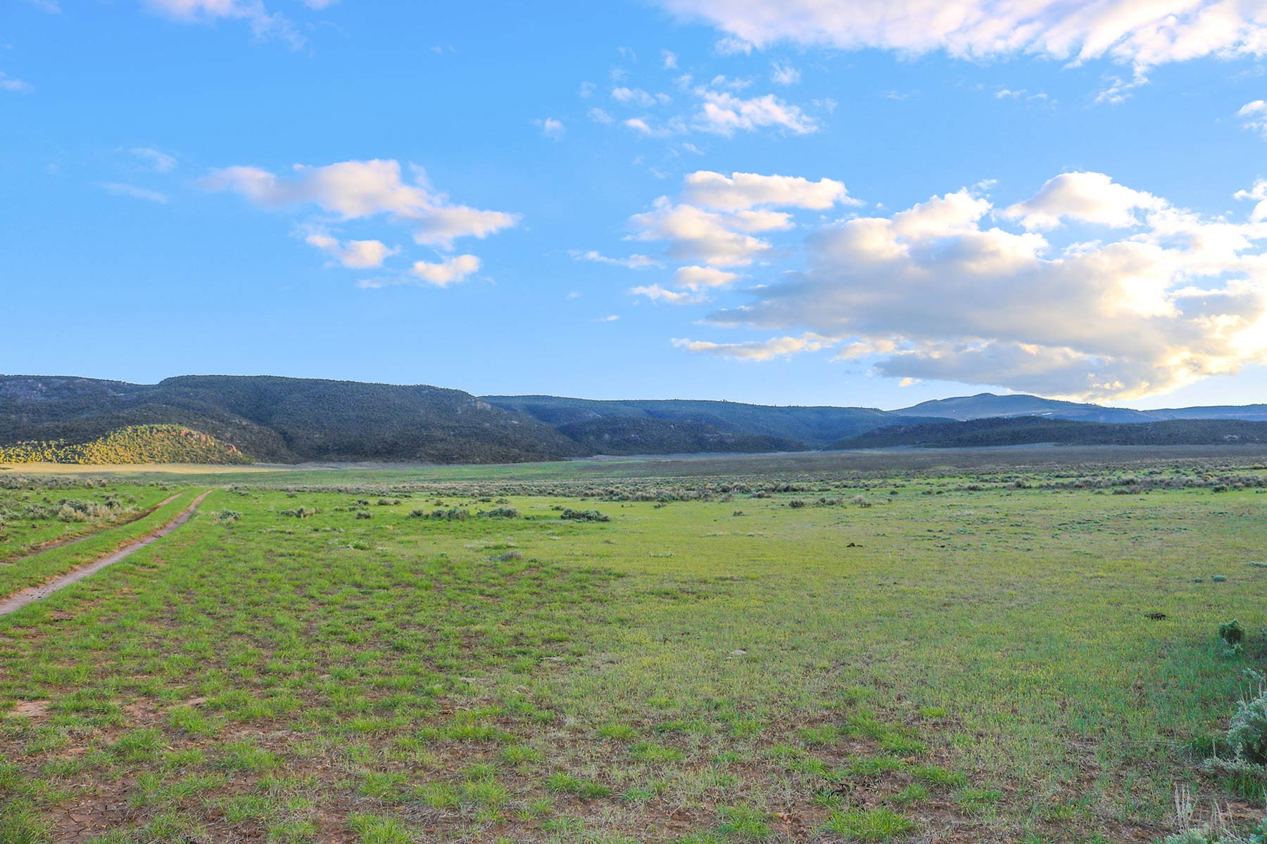 Snake River Land & Cattle Ranch Hall and Hall