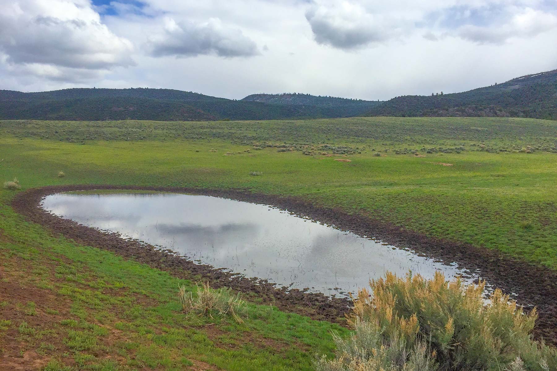 Snake River Land & Cattle Ranch Hall and Hall