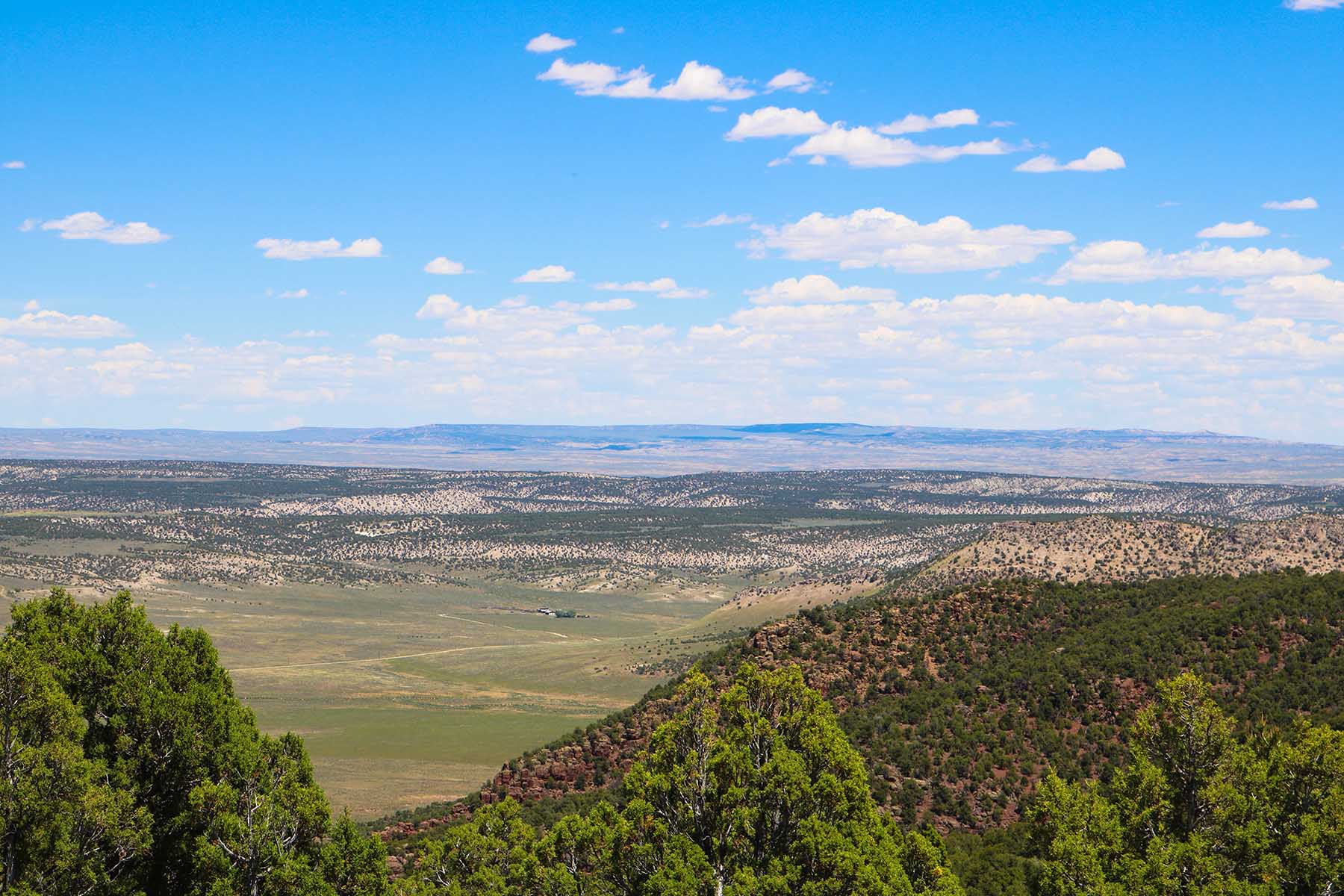 Snake River Land & Cattle Ranch property picture 4 of 59