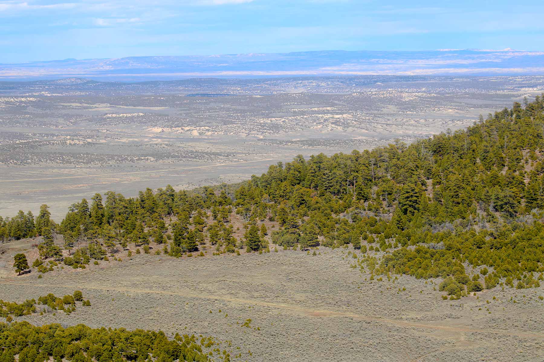 Snake River Land & Cattle Ranch Hall and Hall