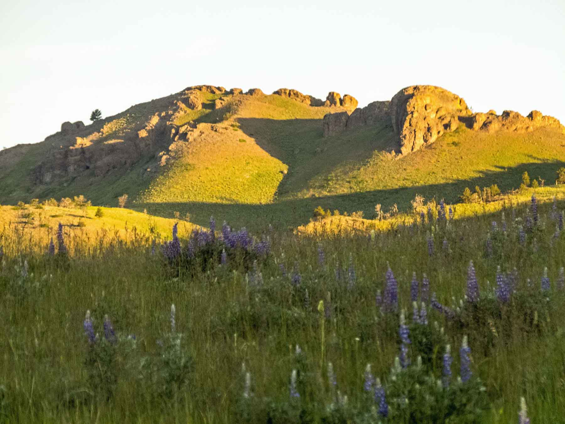 Sheep Creek Ranch property picture 4 of 15