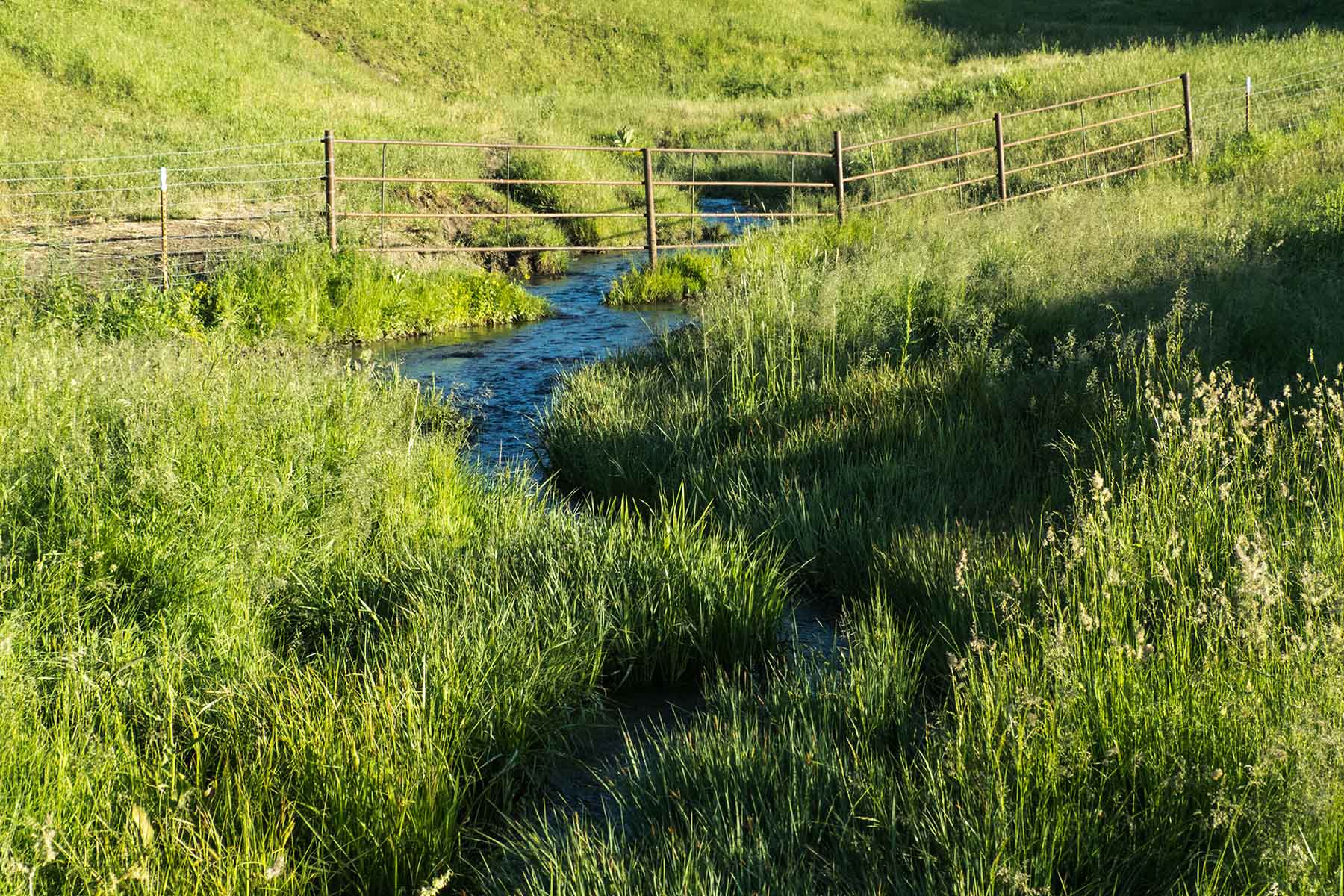 Sheep Creek Ranch property picture 3 of 15