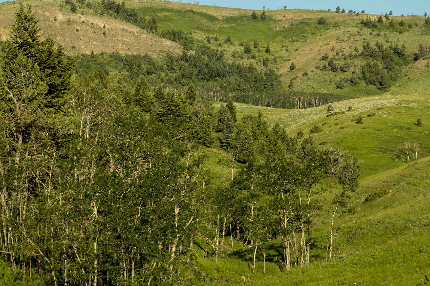 Sheep Creek Ranch property picture 11 of 15