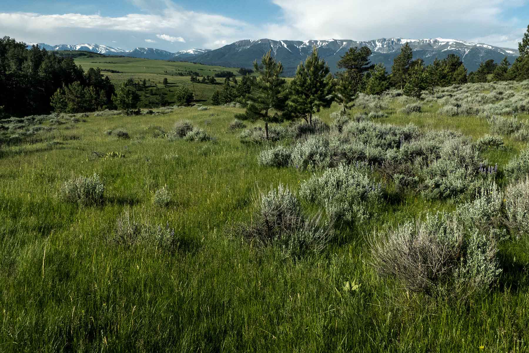 Sheep Creek Ranch property picture 13 of 15