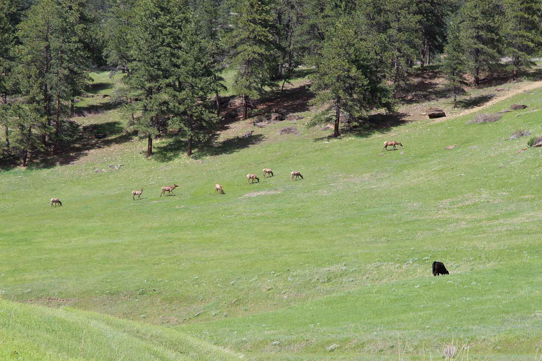 Sheep Creek Ranch property picture 6 of 15
