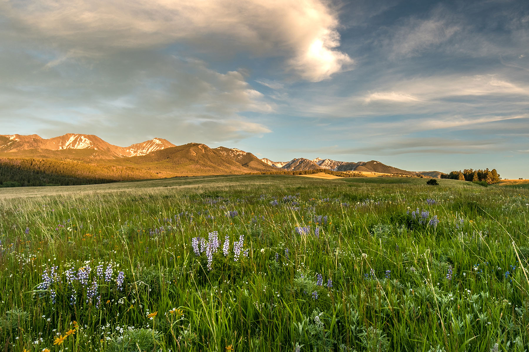 Lazy SR Ranch property picture 5 of 8