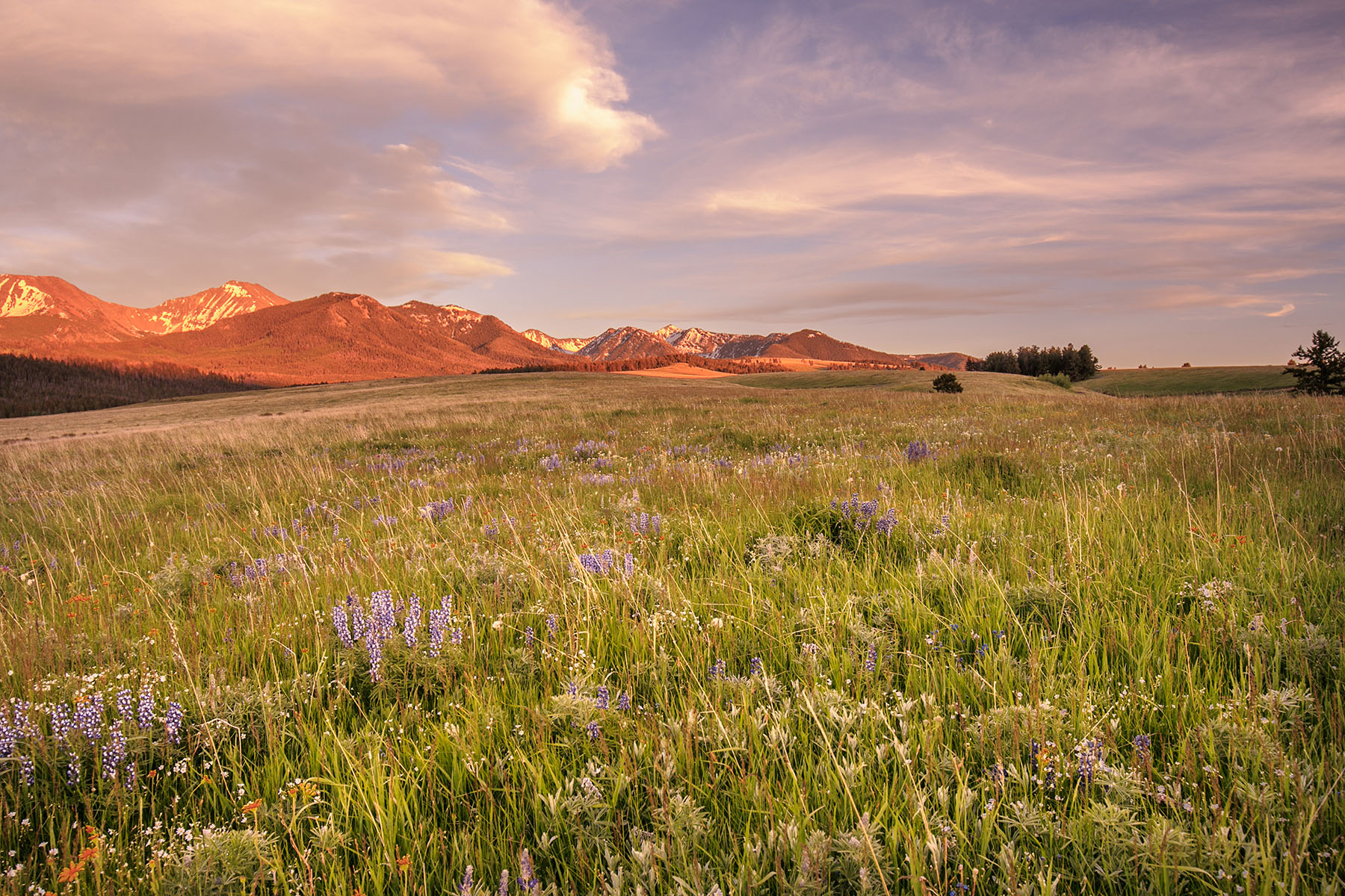 Lazy SR Ranch property picture 6 of 8