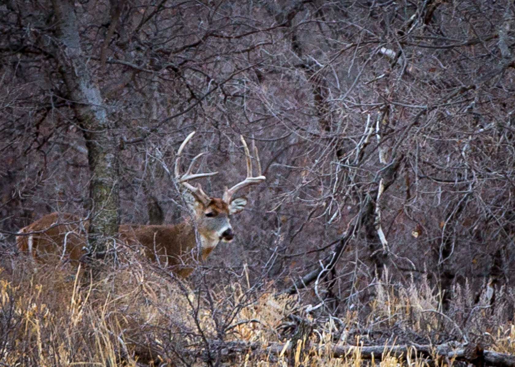 Mesa Vista Ranch property picture 59 of 67