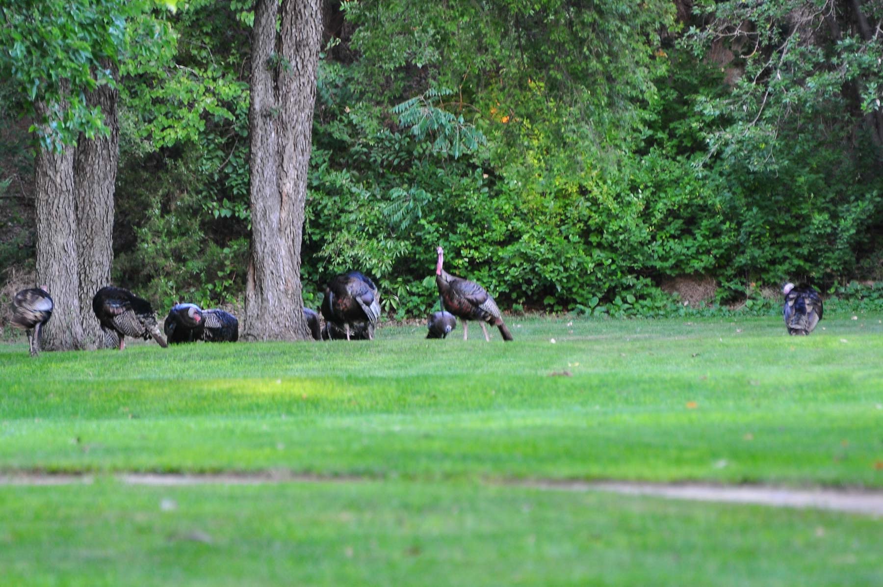 Mesa Vista Ranch property picture 8 of 67