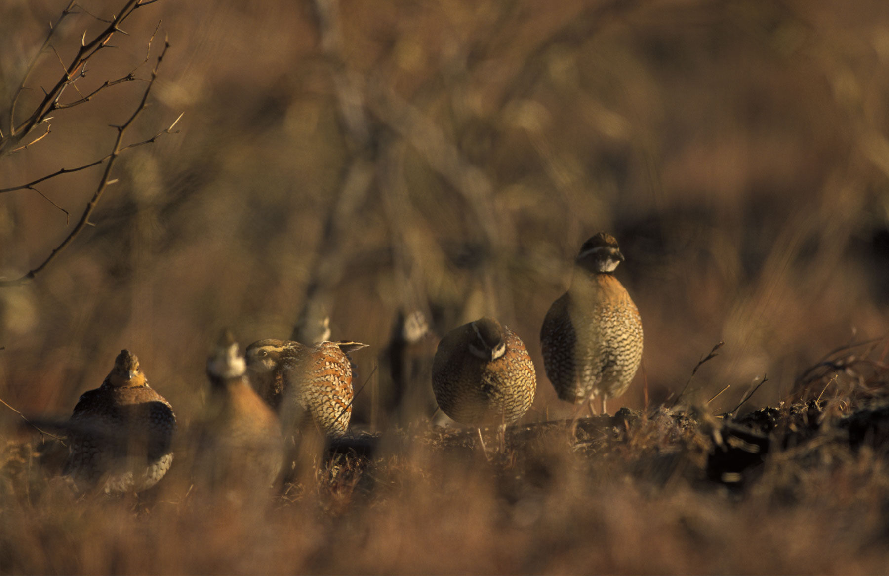 Mesa Vista Ranch property picture 57 of 67
