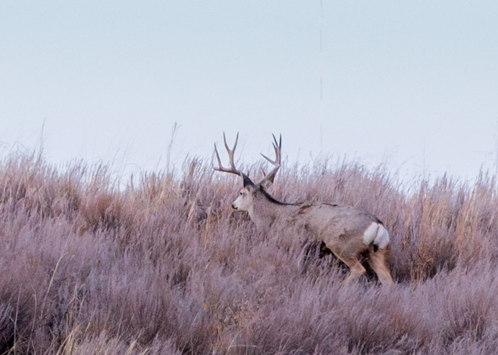 Mesa Vista Ranch property picture 56 of 67