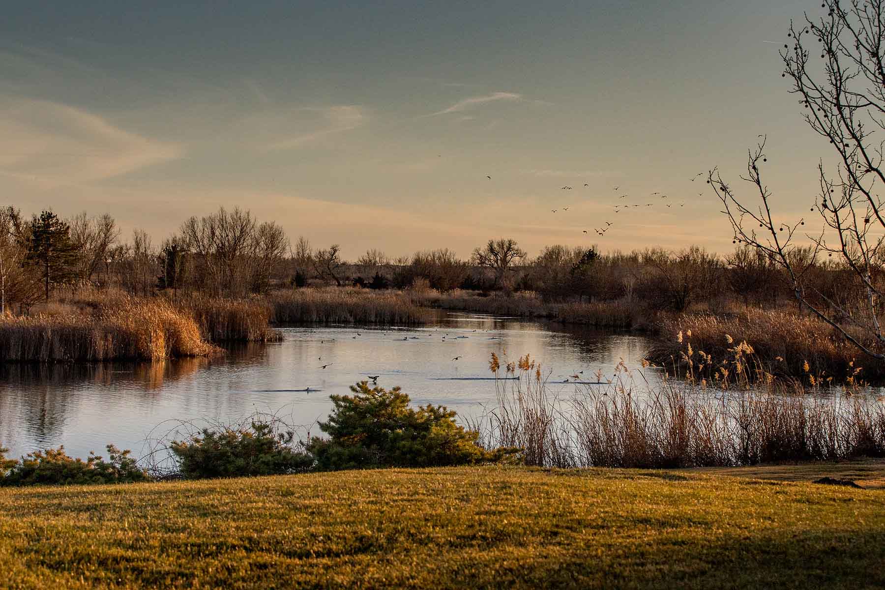 Mesa Vista Ranch property picture 60 of 67