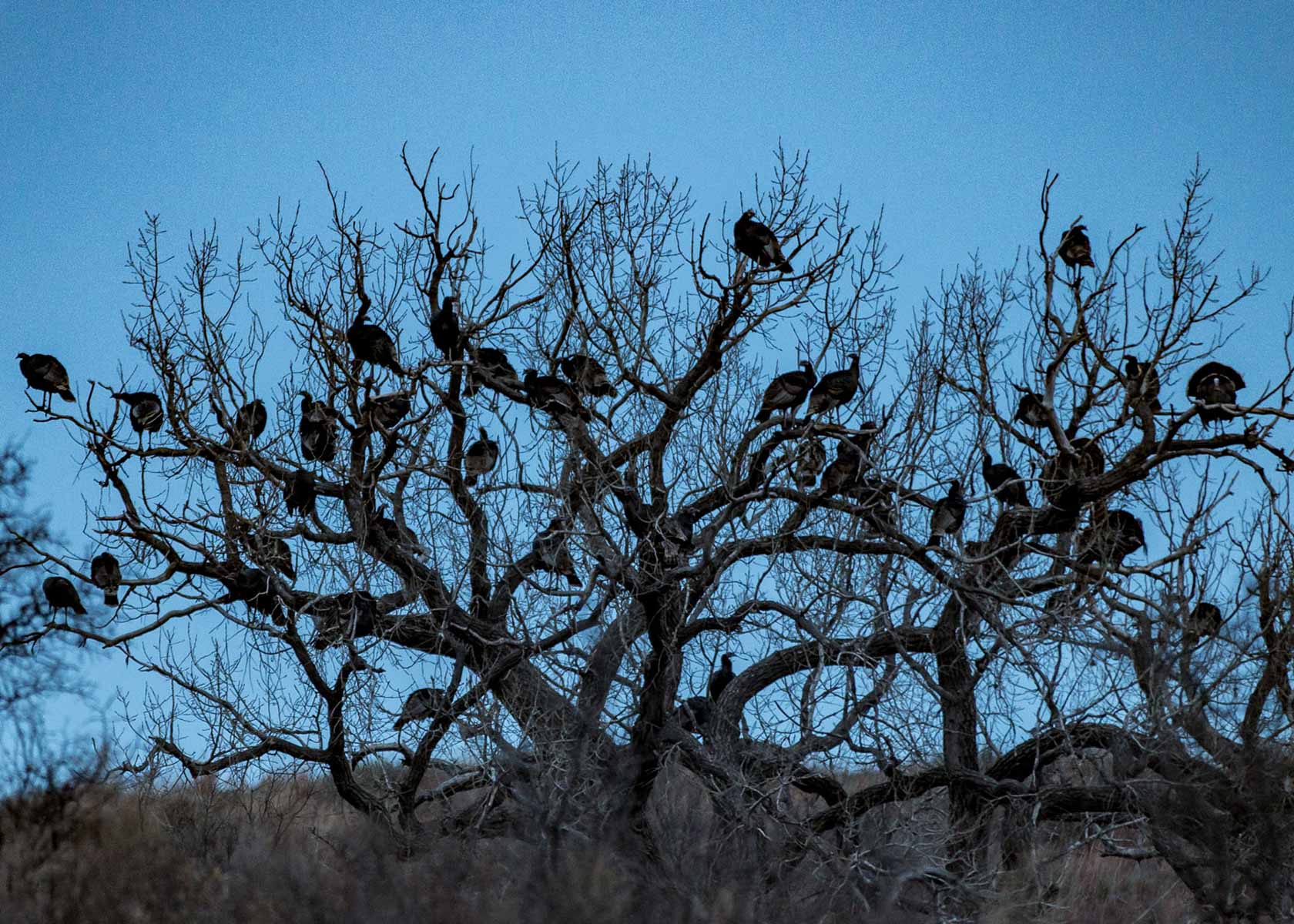 Mesa Vista Ranch property picture 61 of 67