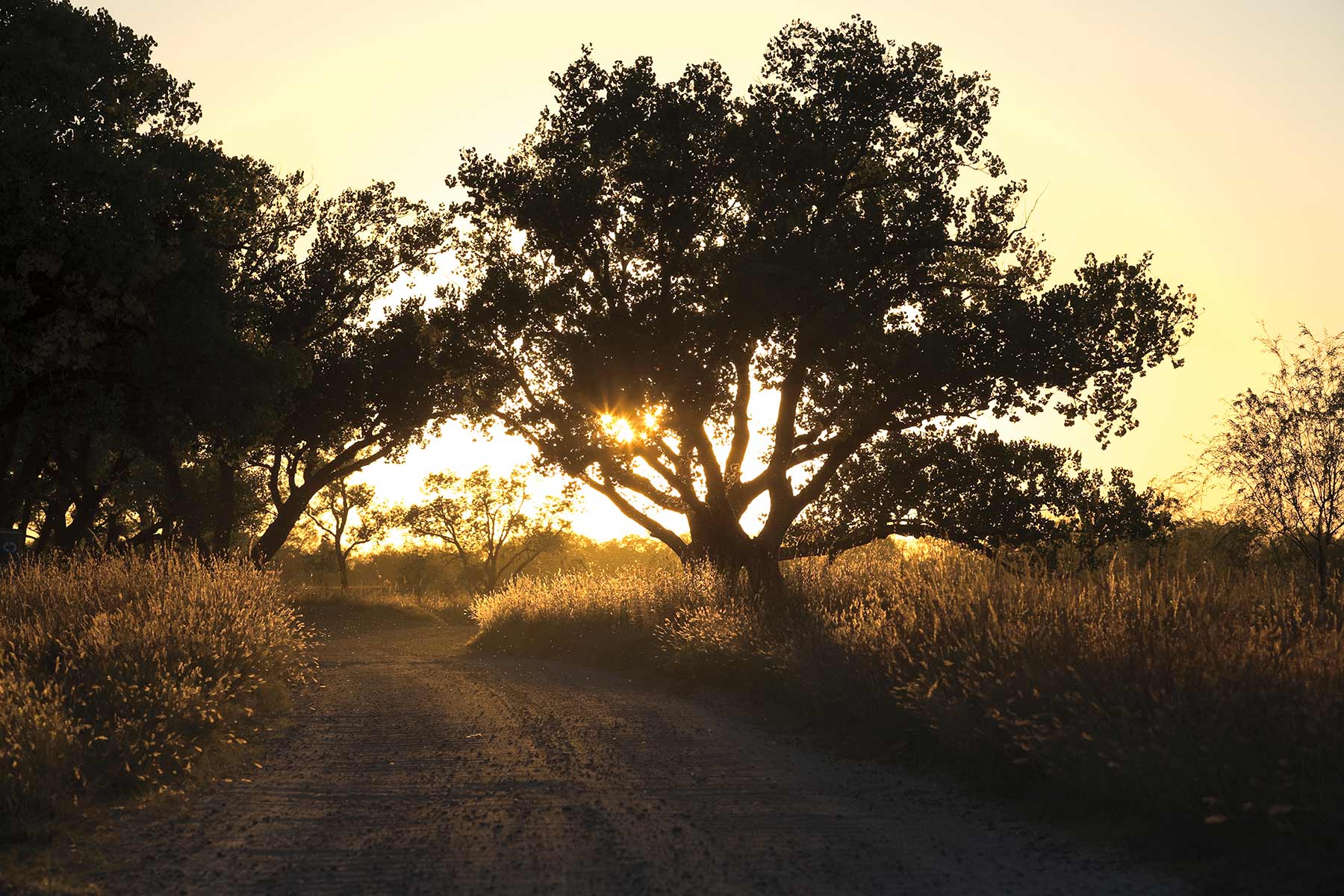 Mesa Vista Ranch property picture 36 of 67