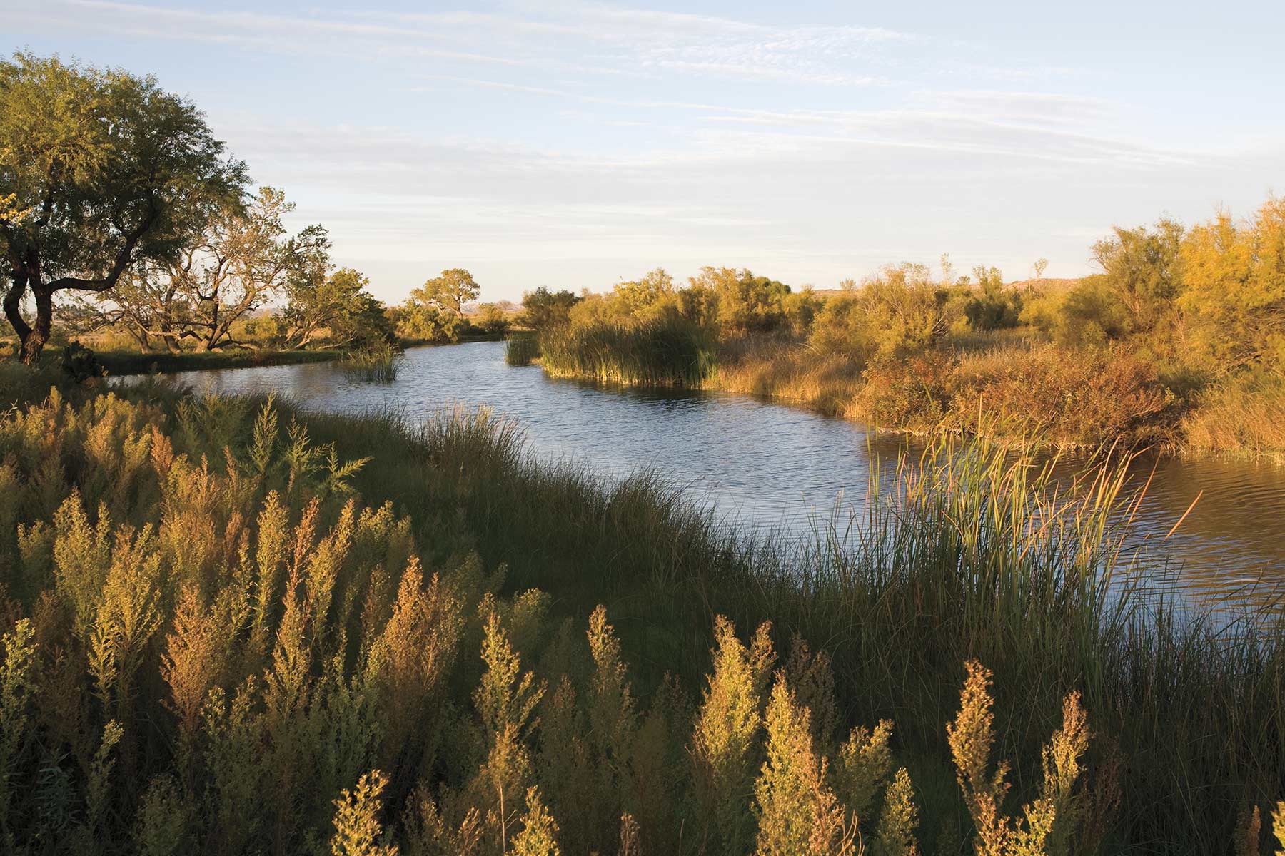 Mesa Vista Ranch property picture 47 of 67