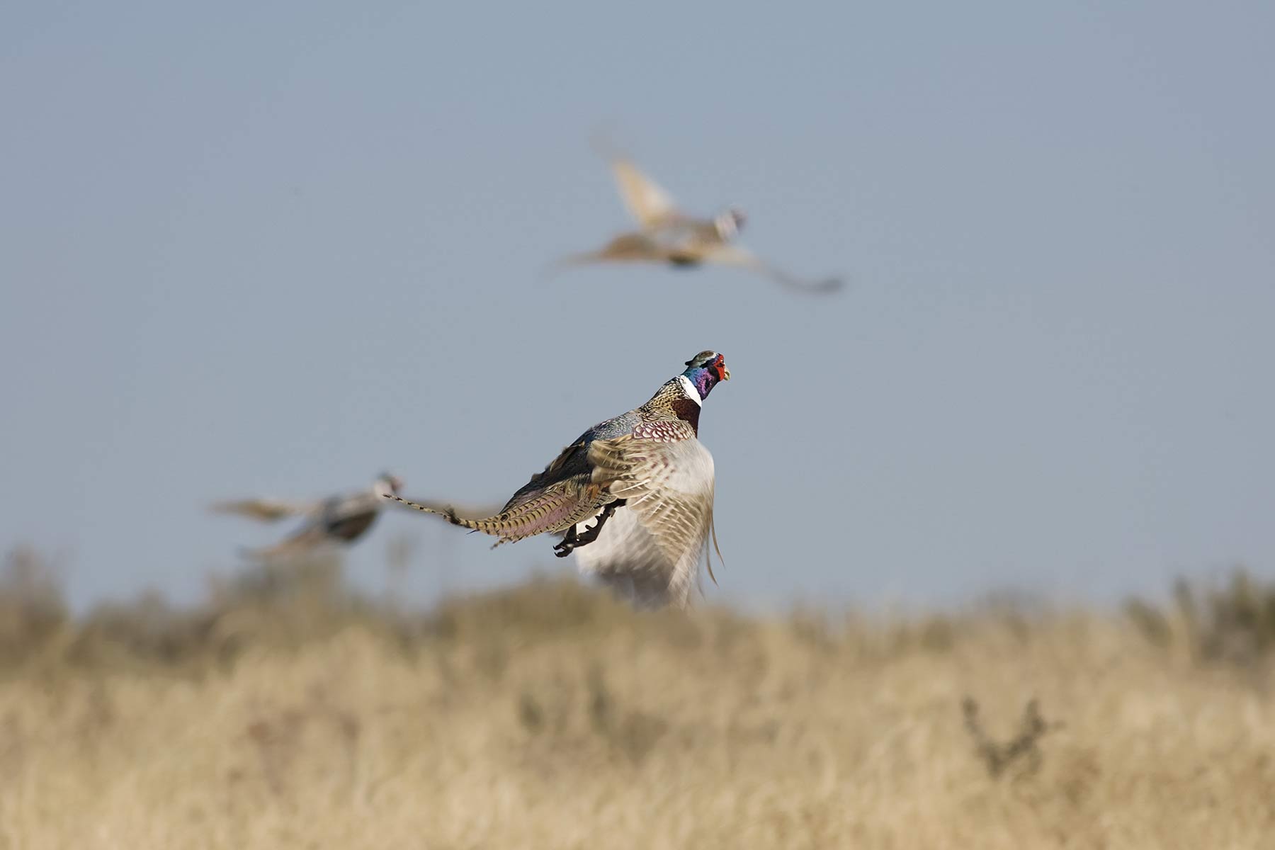 Mesa Vista Ranch property picture 50 of 67