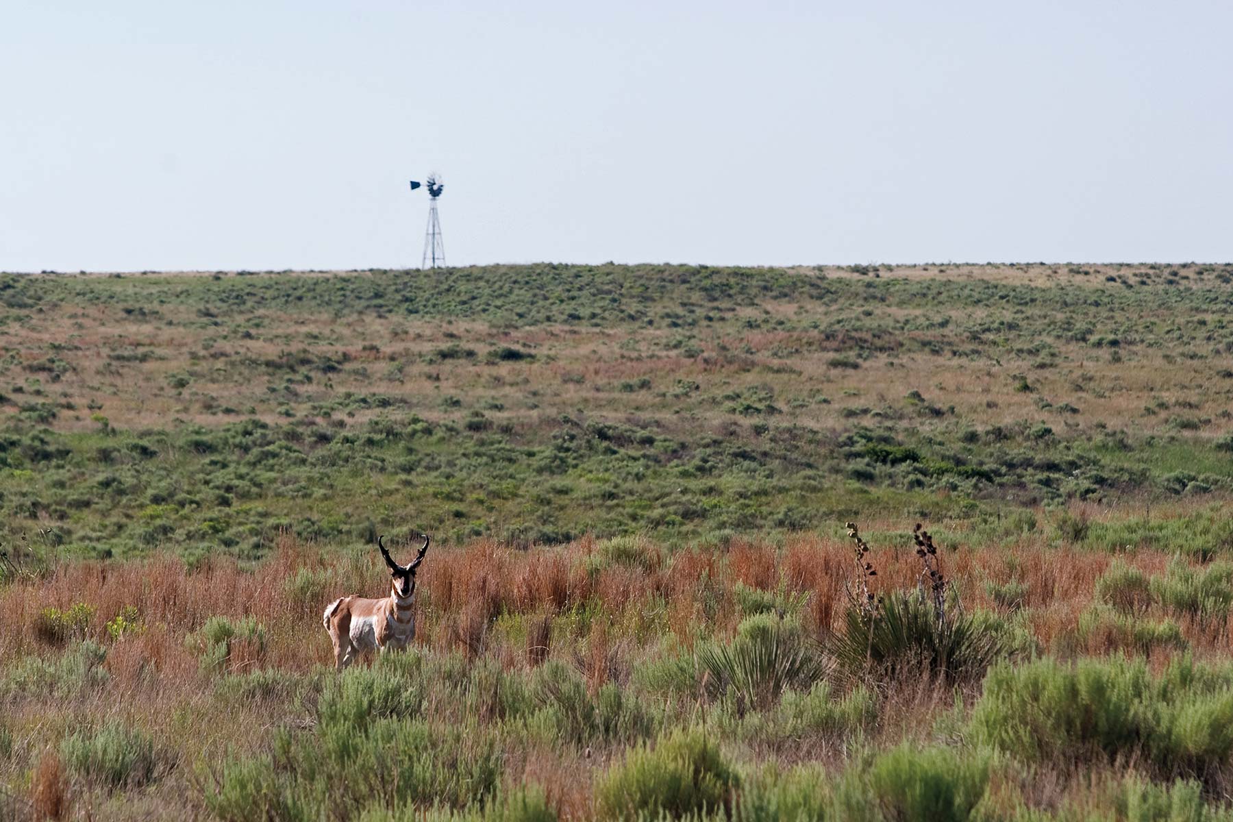 Mesa Vista Ranch property picture 62 of 67