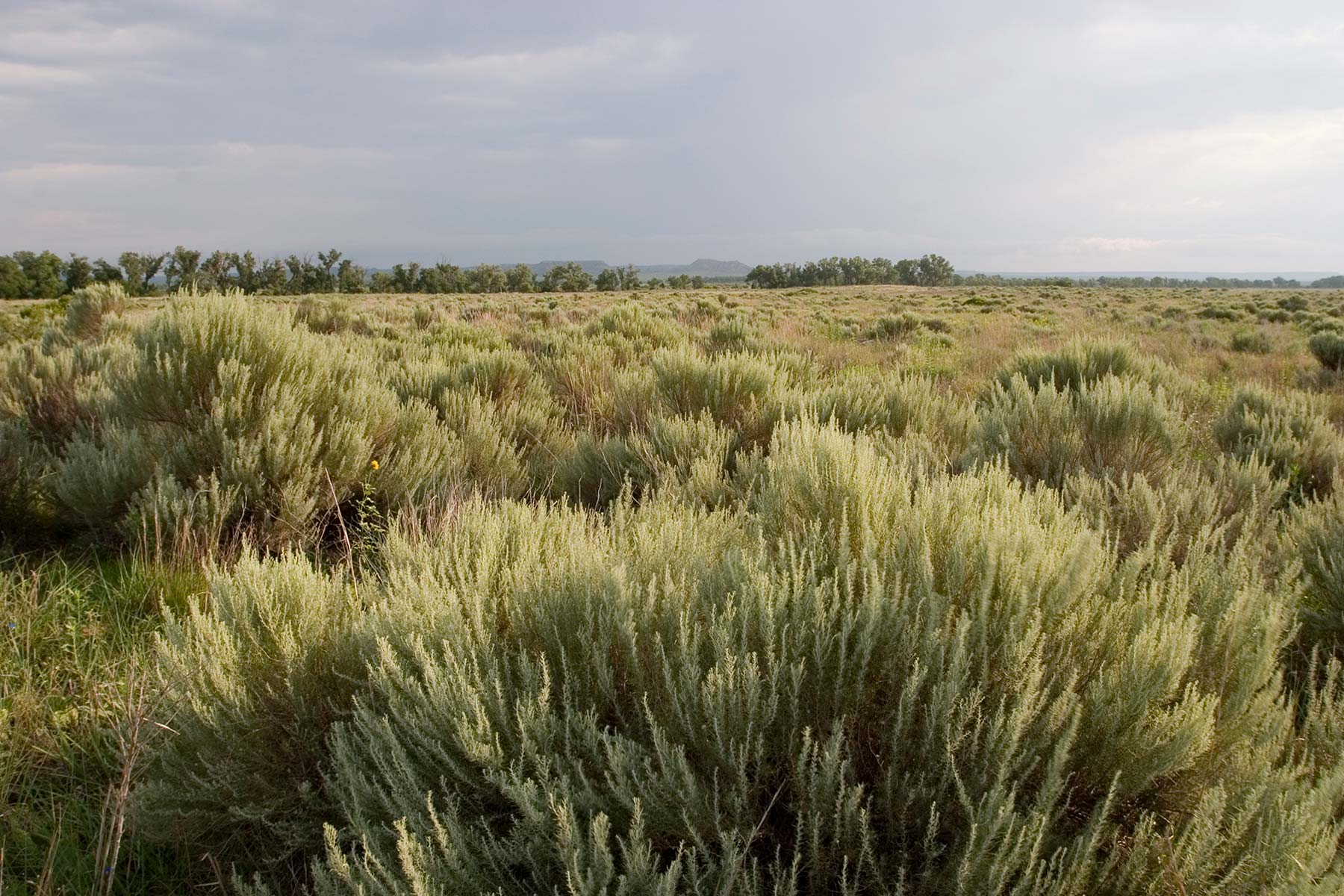 Mesa Vista Ranch property picture 44 of 67