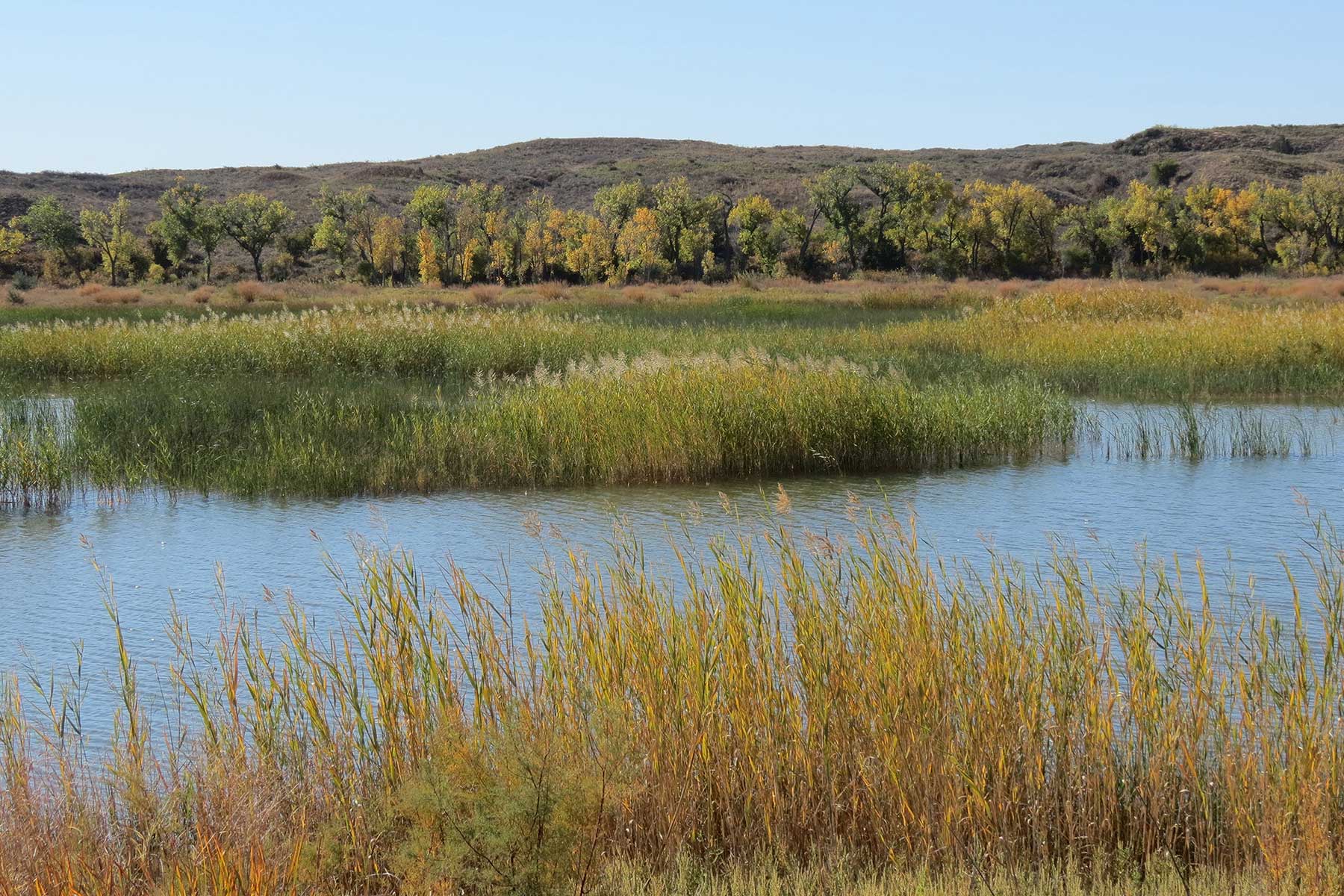 Mesa Vista Ranch property picture 54 of 67