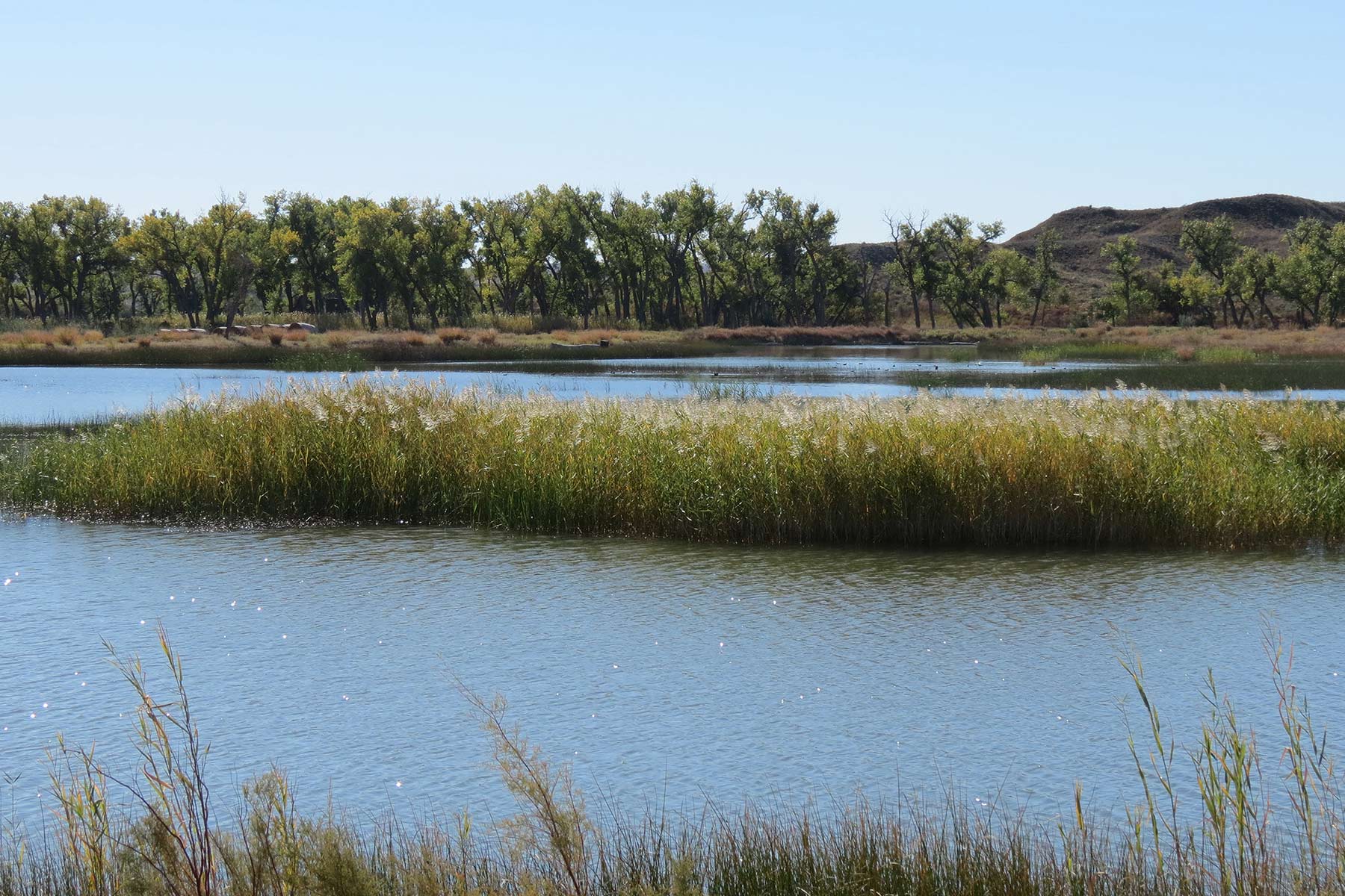 Mesa Vista Ranch property picture 51 of 67