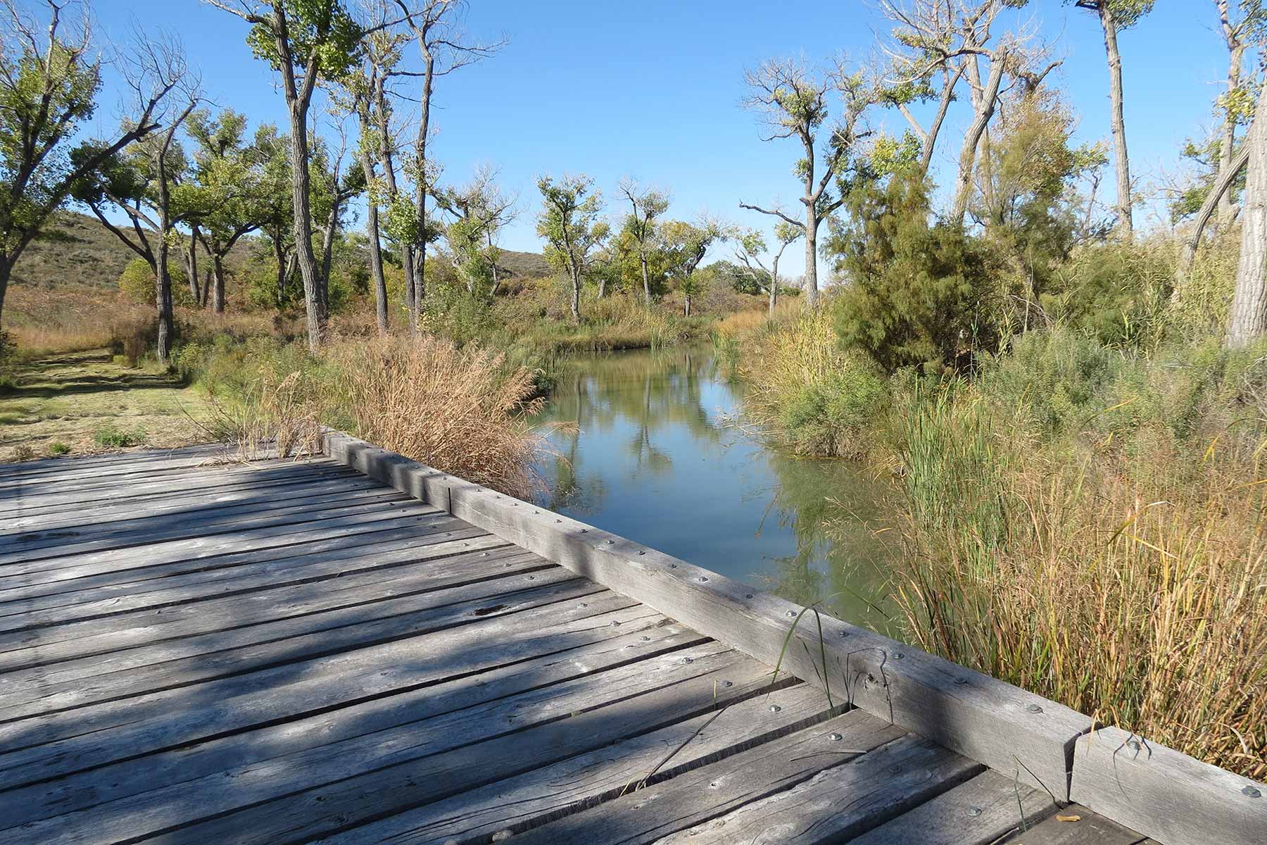 Mesa Vista Ranch property picture 49 of 67