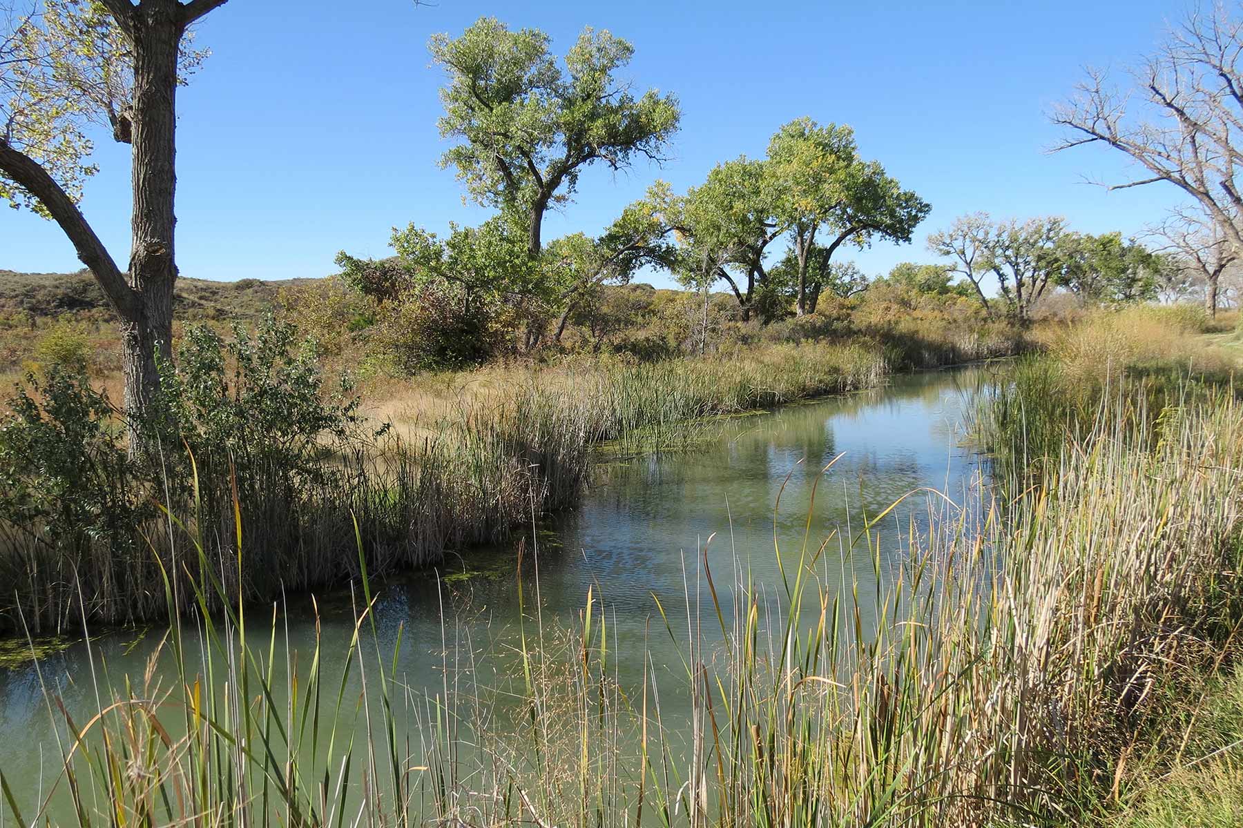 Mesa Vista Ranch property picture 55 of 67