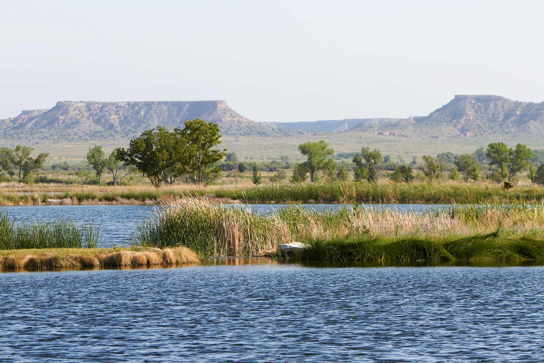Mesa Vista Ranch property picture 63 of 67