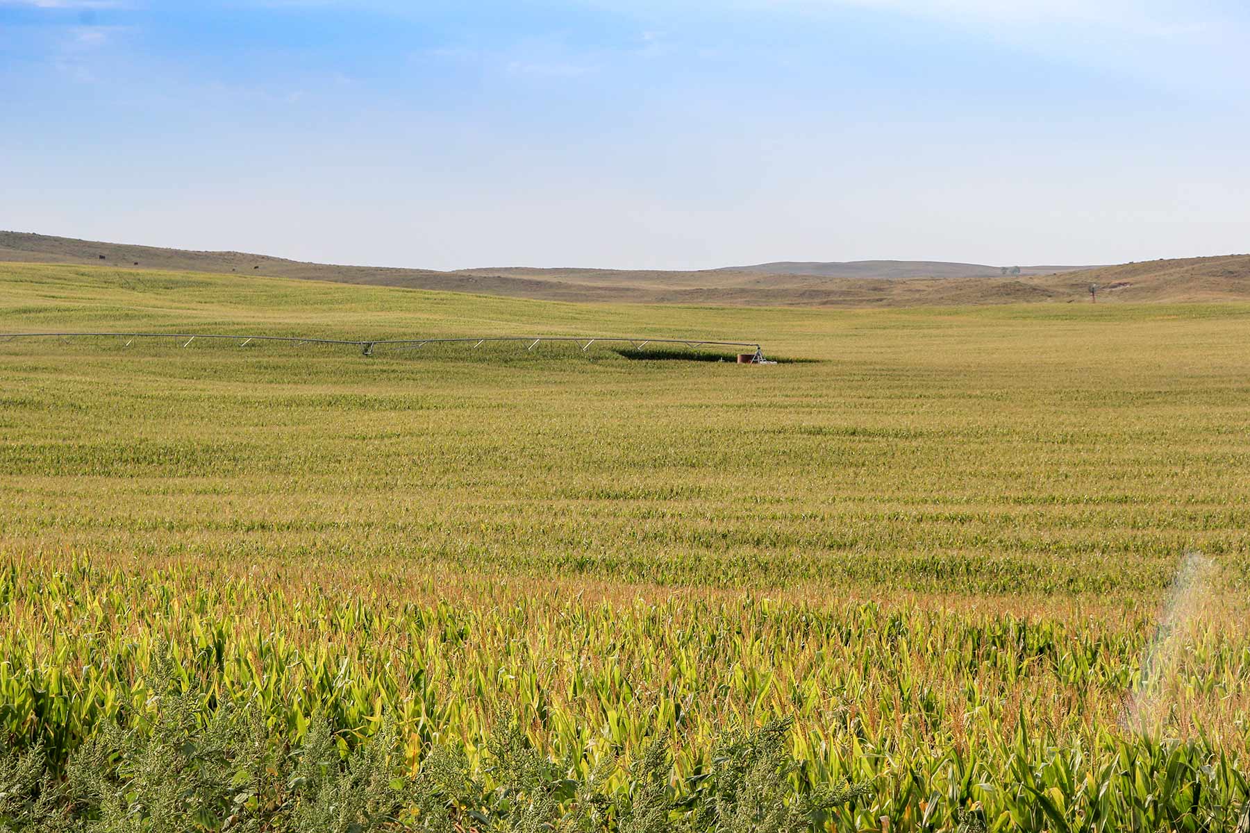 Bucktail Farm property picture 3 of 35