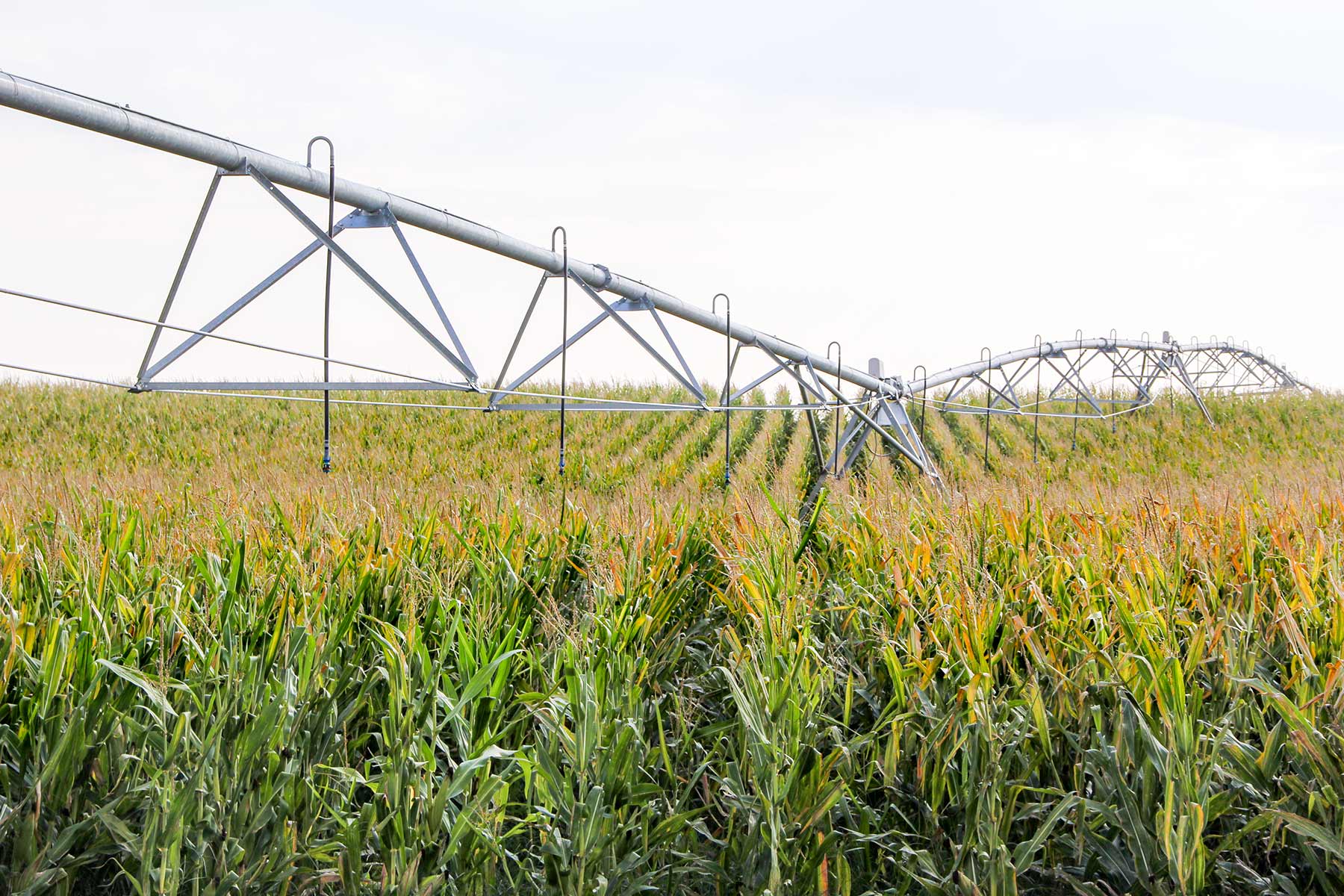 Bucktail Farm property picture 25 of 35