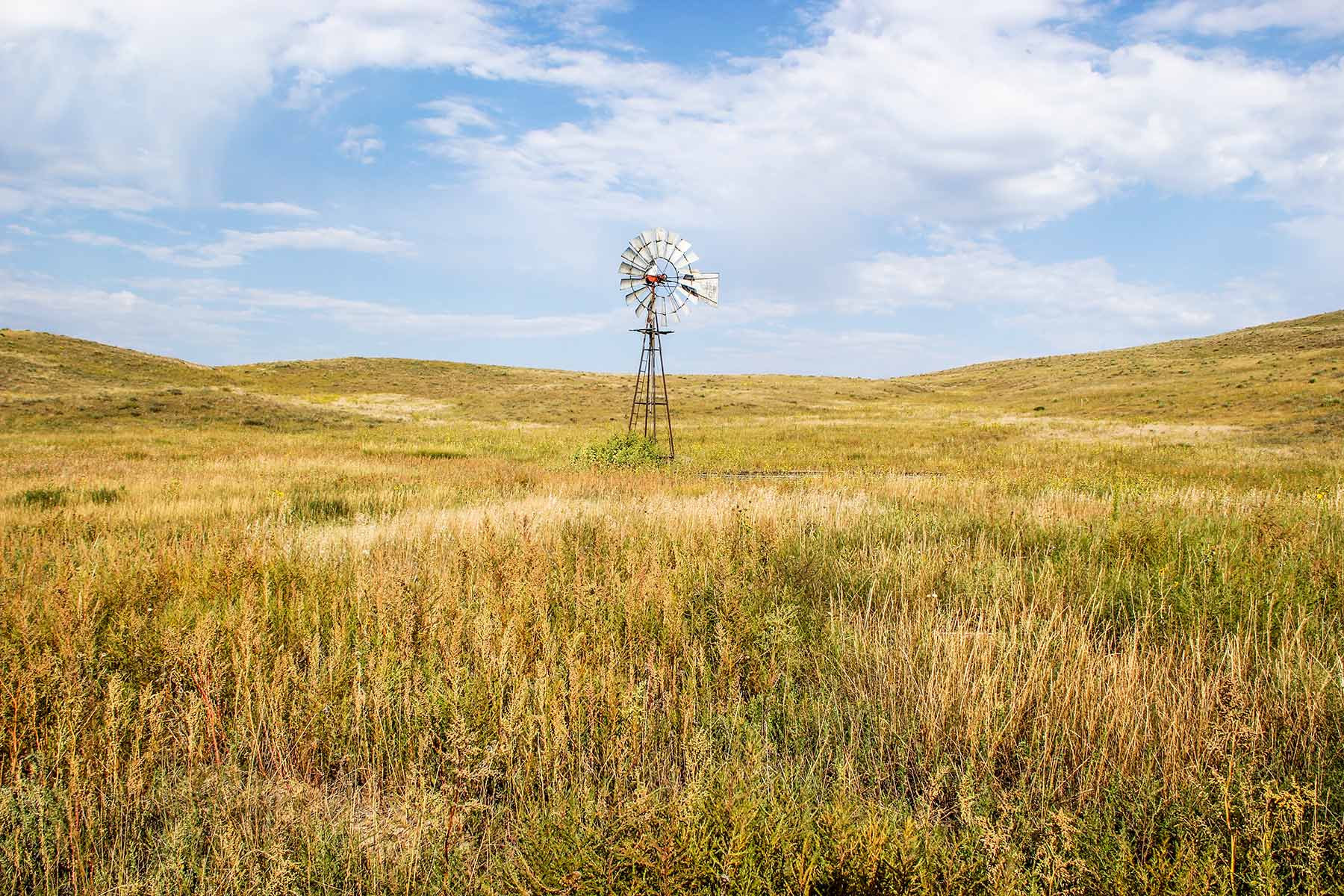 Bucktail Farm property picture 6 of 35