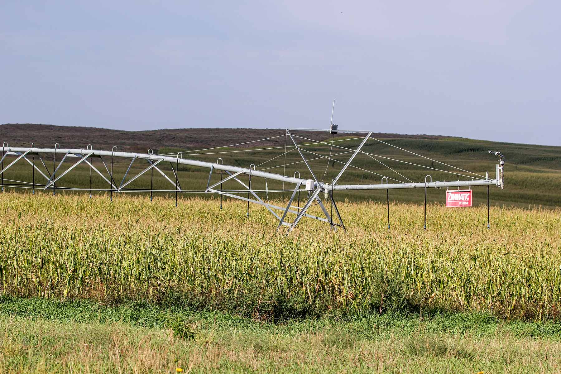 Bucktail Farm property picture 13 of 35