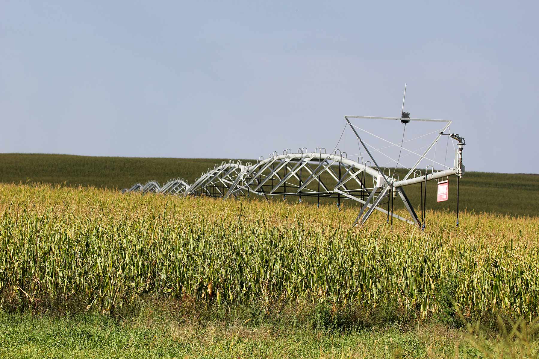 Bucktail Farm property picture 14 of 35