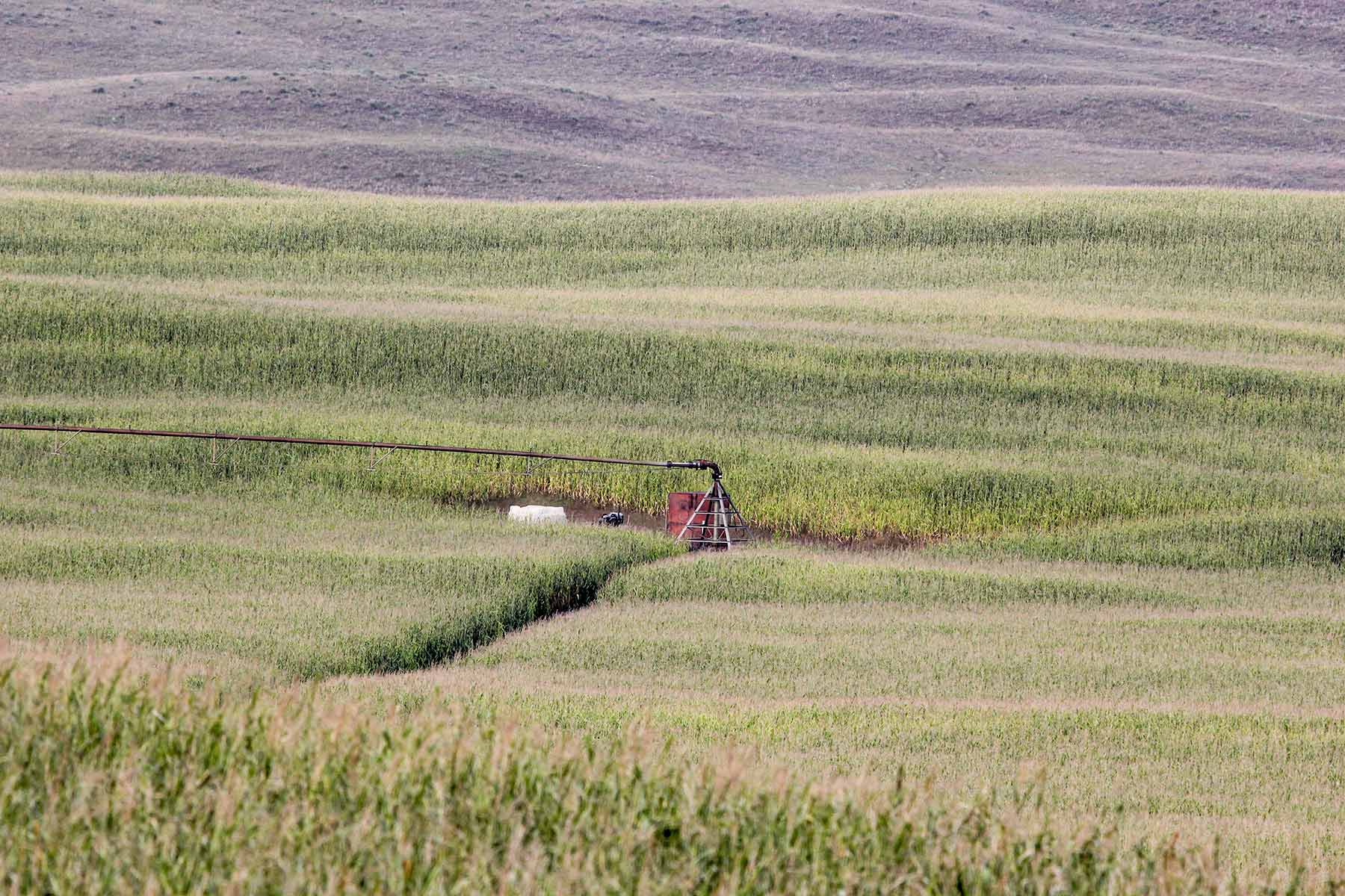 Bucktail Farm property picture 20 of 35