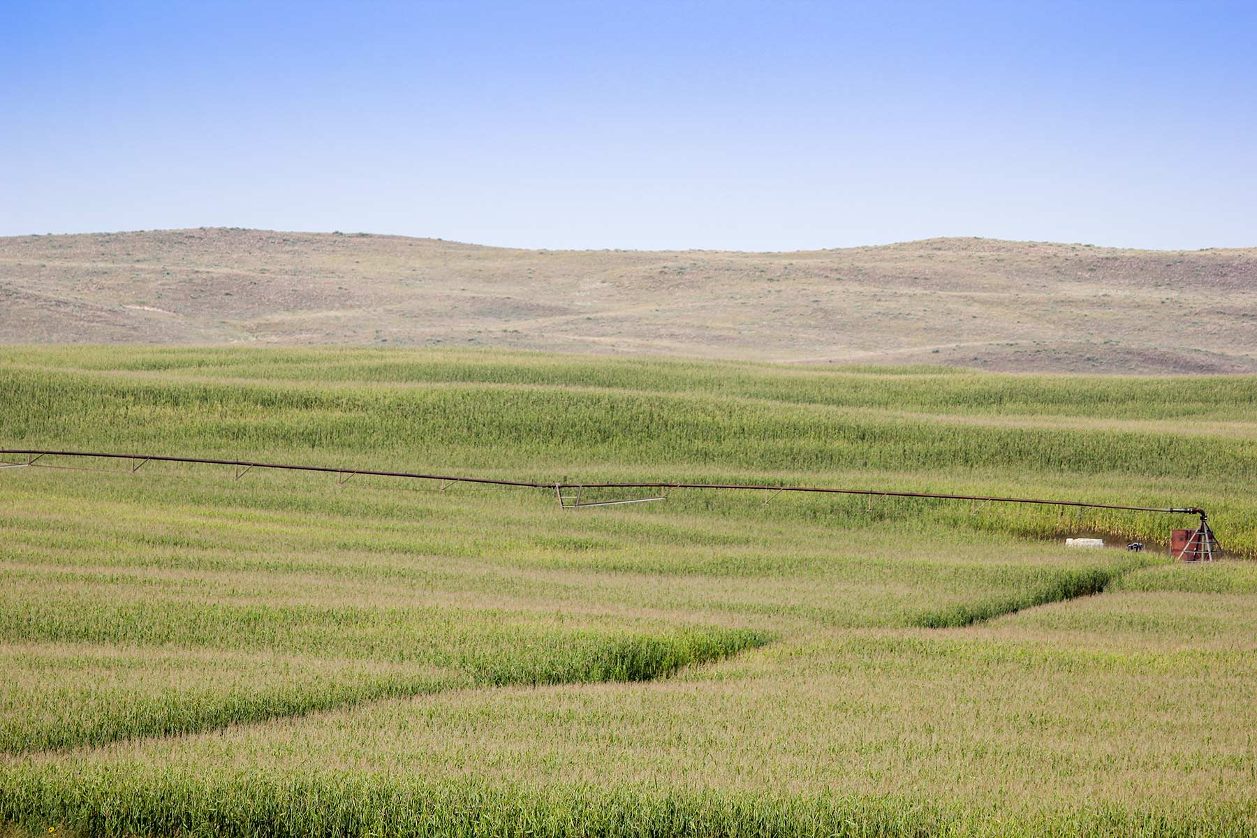 Bucktail Farm property picture 17 of 35