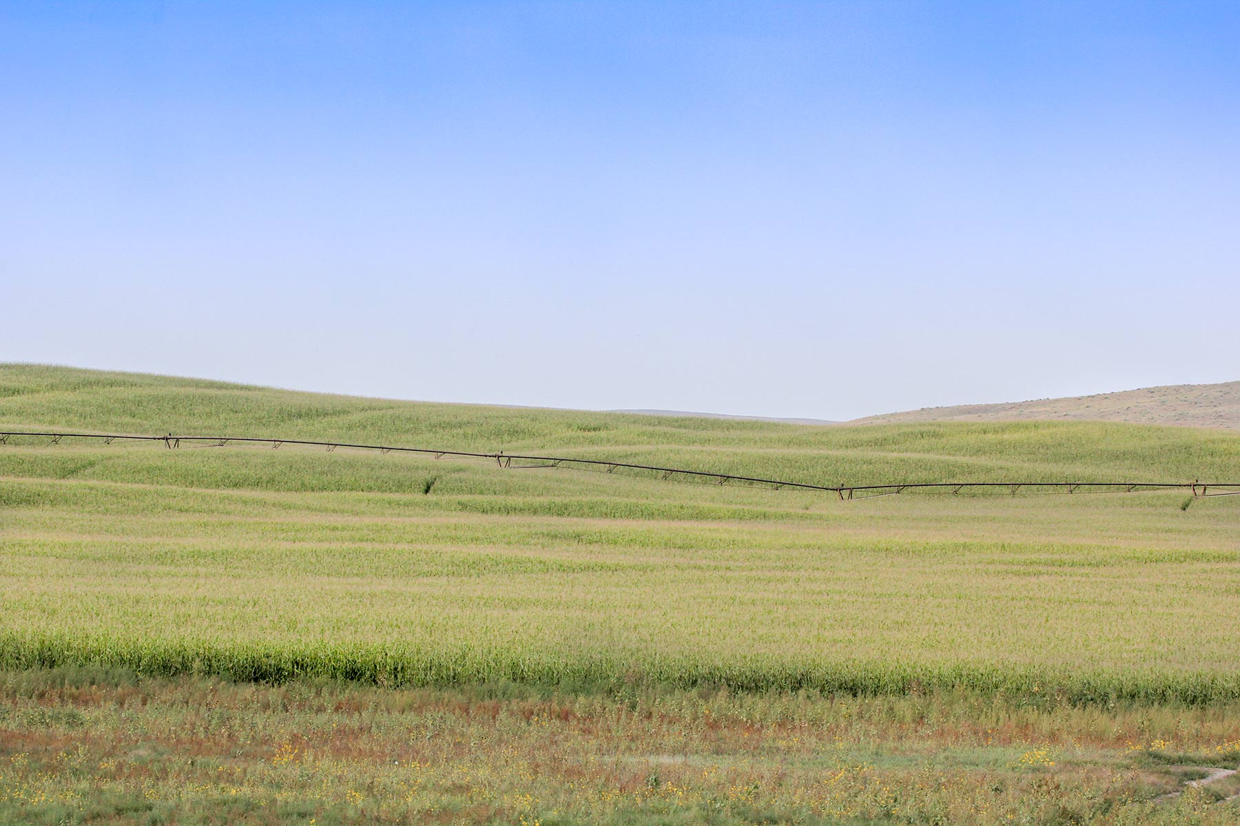 Bucktail Farm property picture 21 of 35