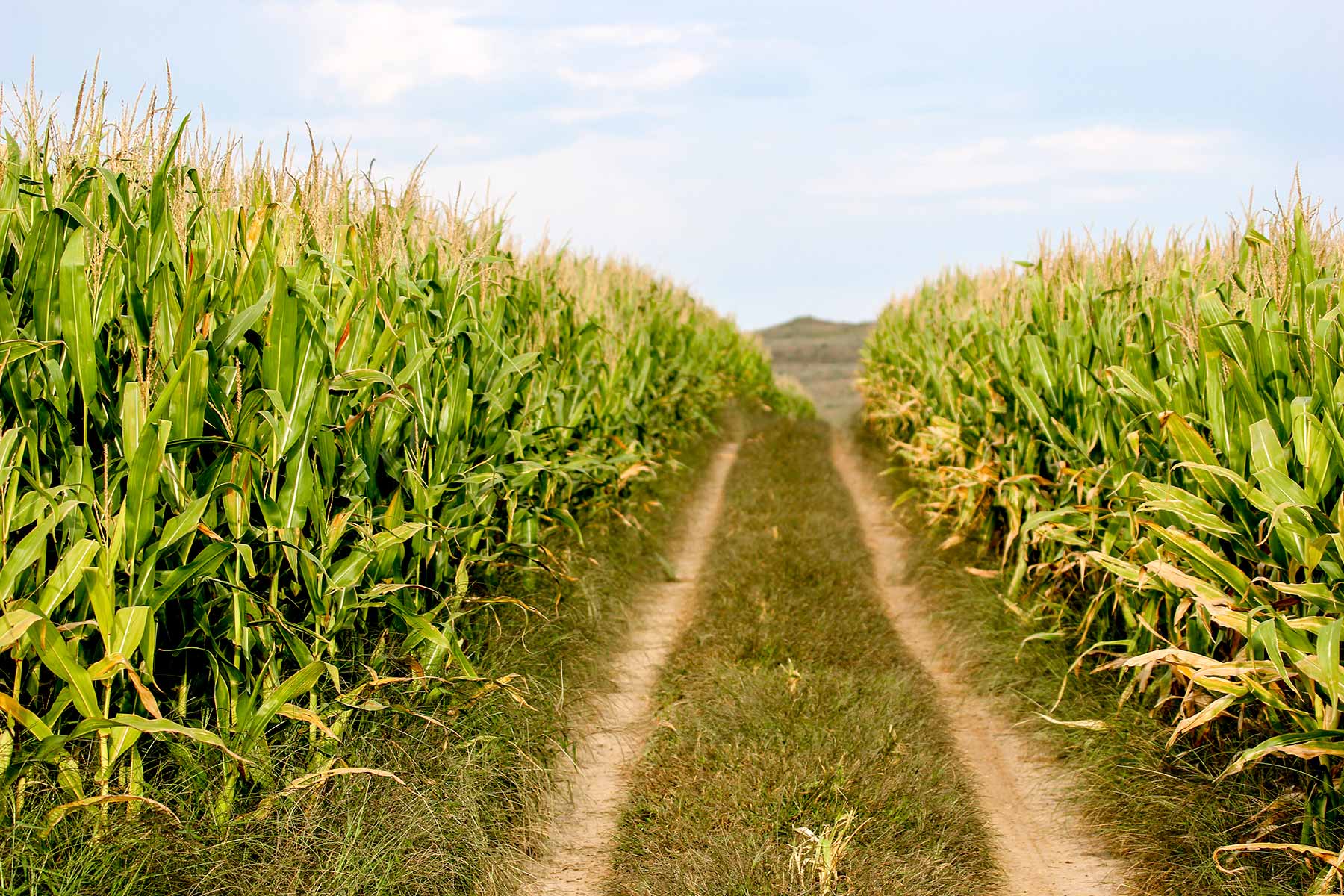 Bucktail Farm property picture 11 of 35