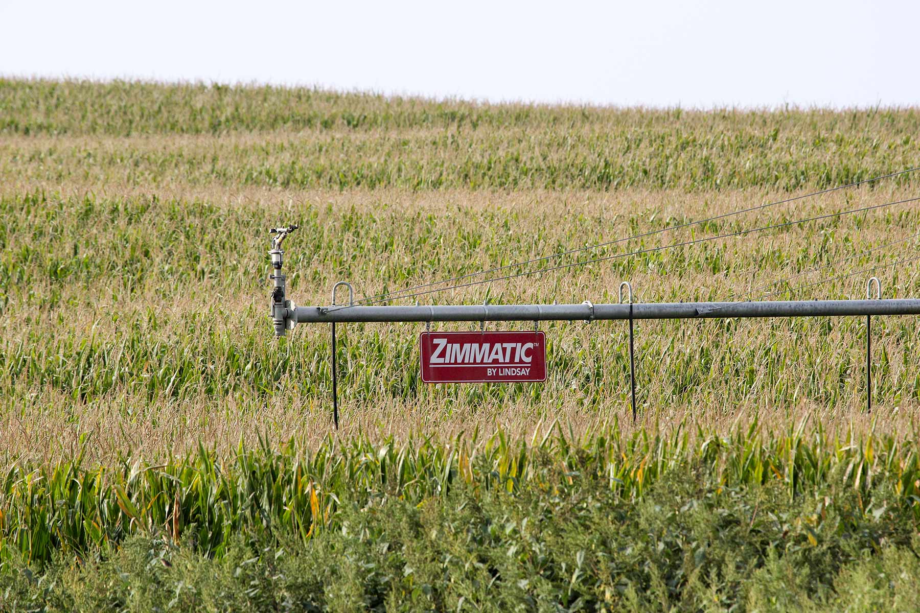 Bucktail Farm property picture 15 of 35