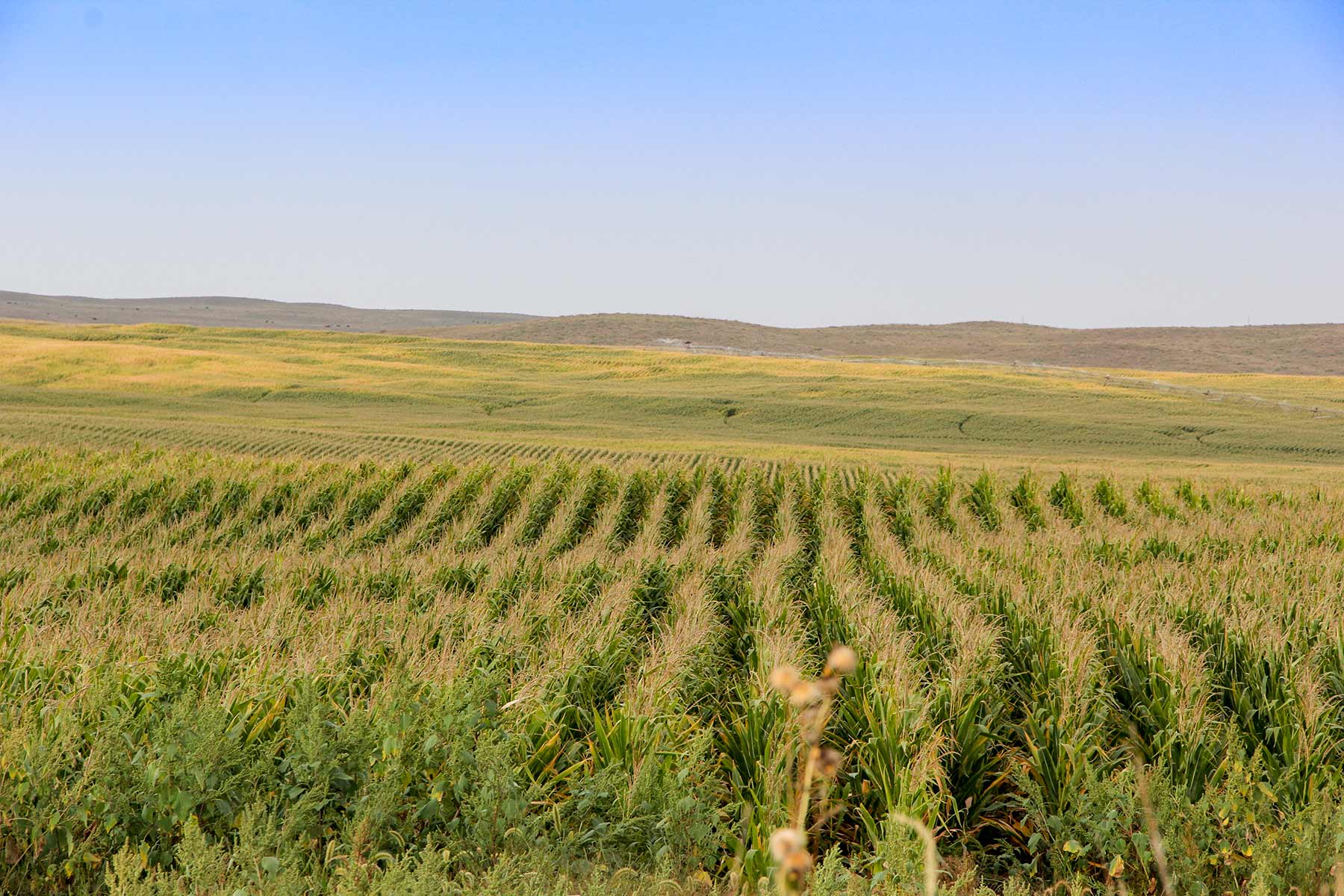 Bucktail Farm property picture 9 of 35