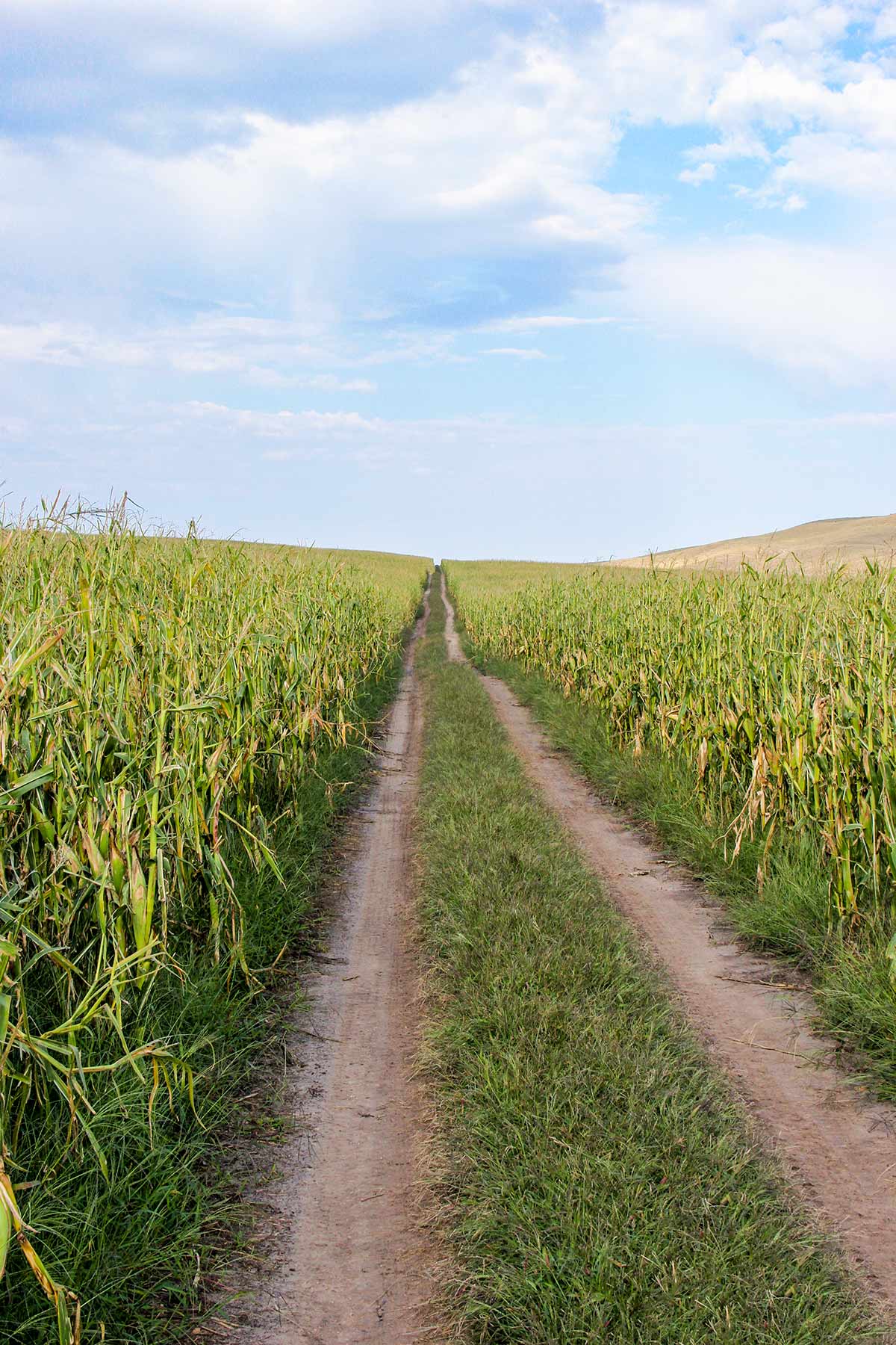 Bucktail Farm property picture 30 of 35