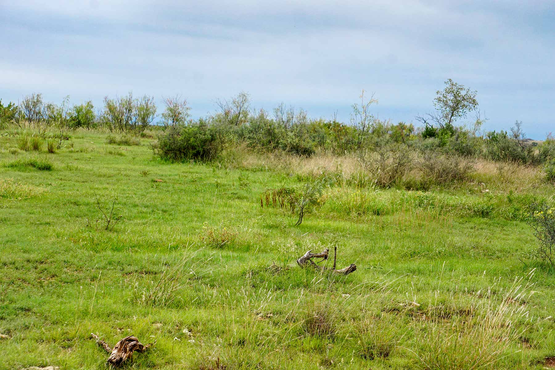 Water Canyon Ranch property picture 22 of 55