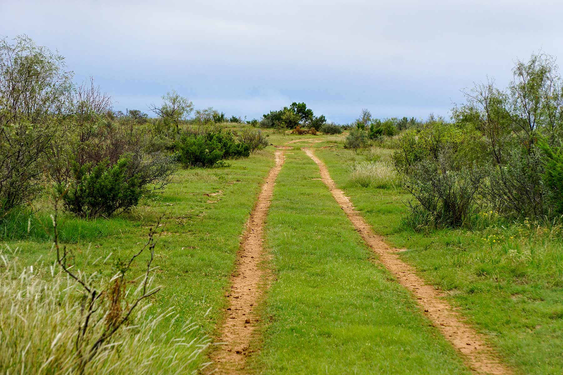 Water Canyon Ranch property picture 3 of 55