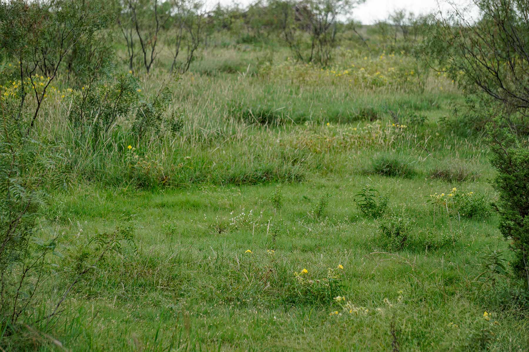 Water Canyon Ranch property picture 8 of 55