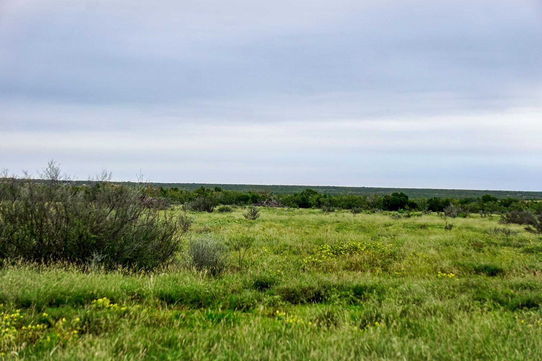 Water Canyon Ranch property picture 32 of 55