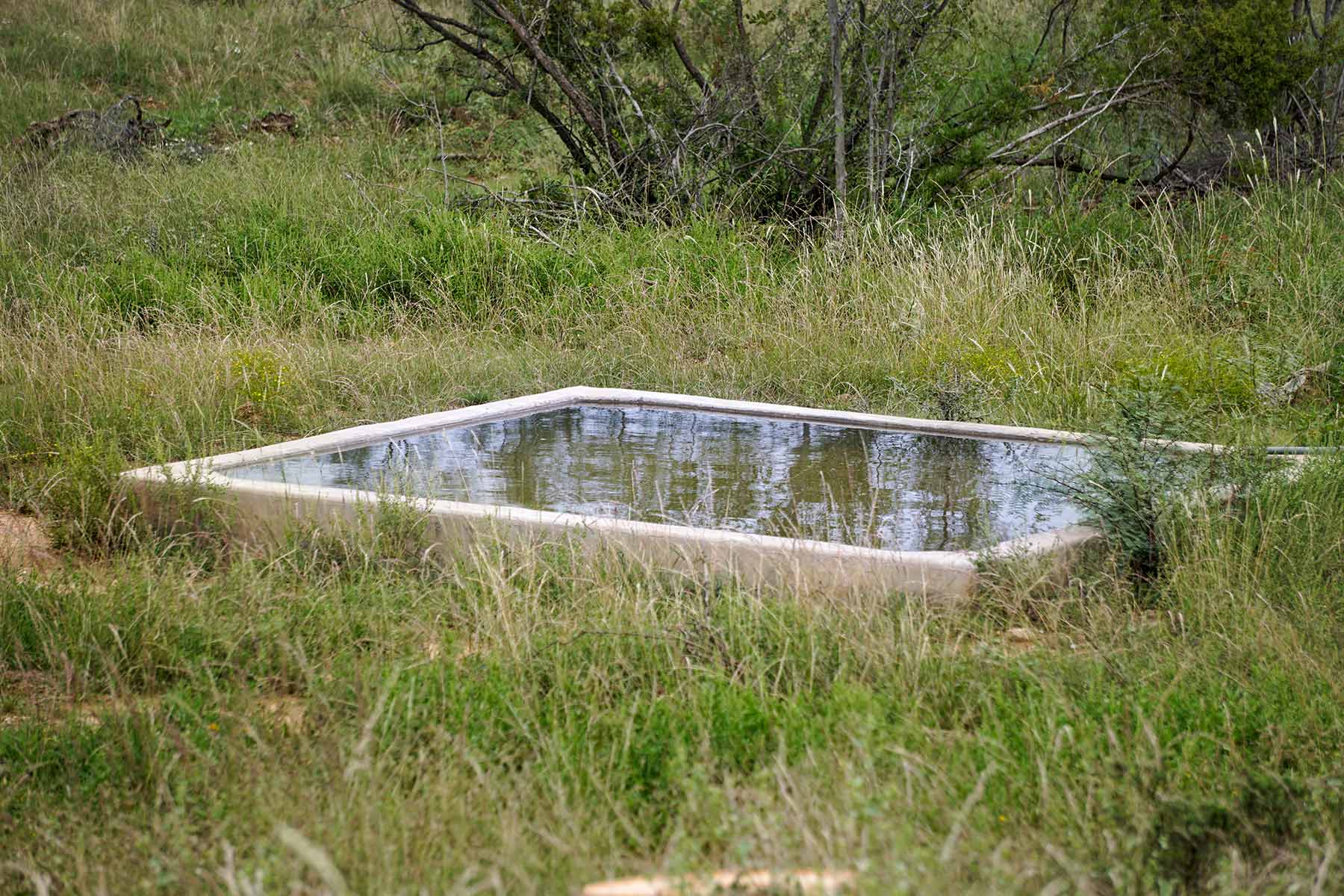 Water Canyon Ranch property picture 13 of 55