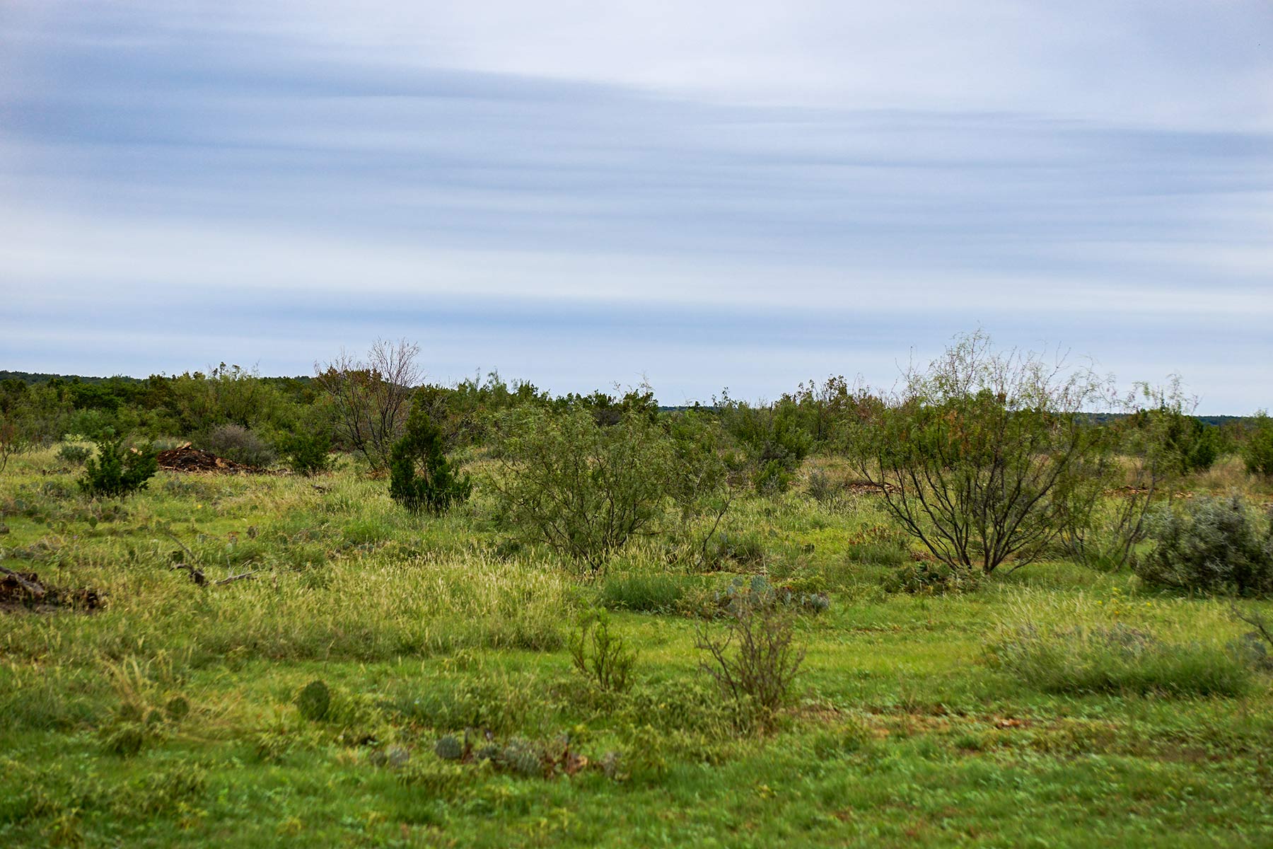 Water Canyon Ranch property picture 31 of 55