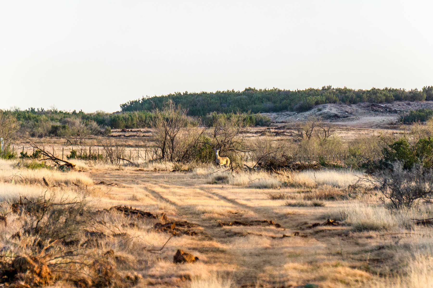 Water Canyon Ranch property picture 20 of 55