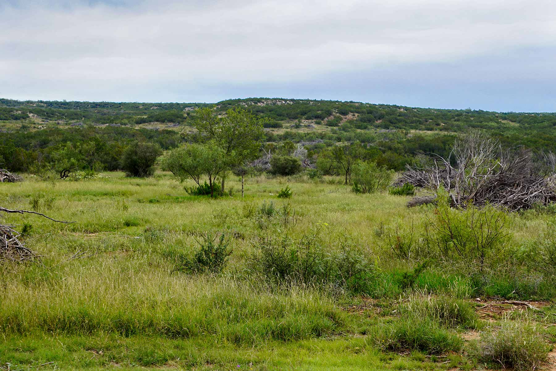 Water Canyon Ranch property picture 17 of 55