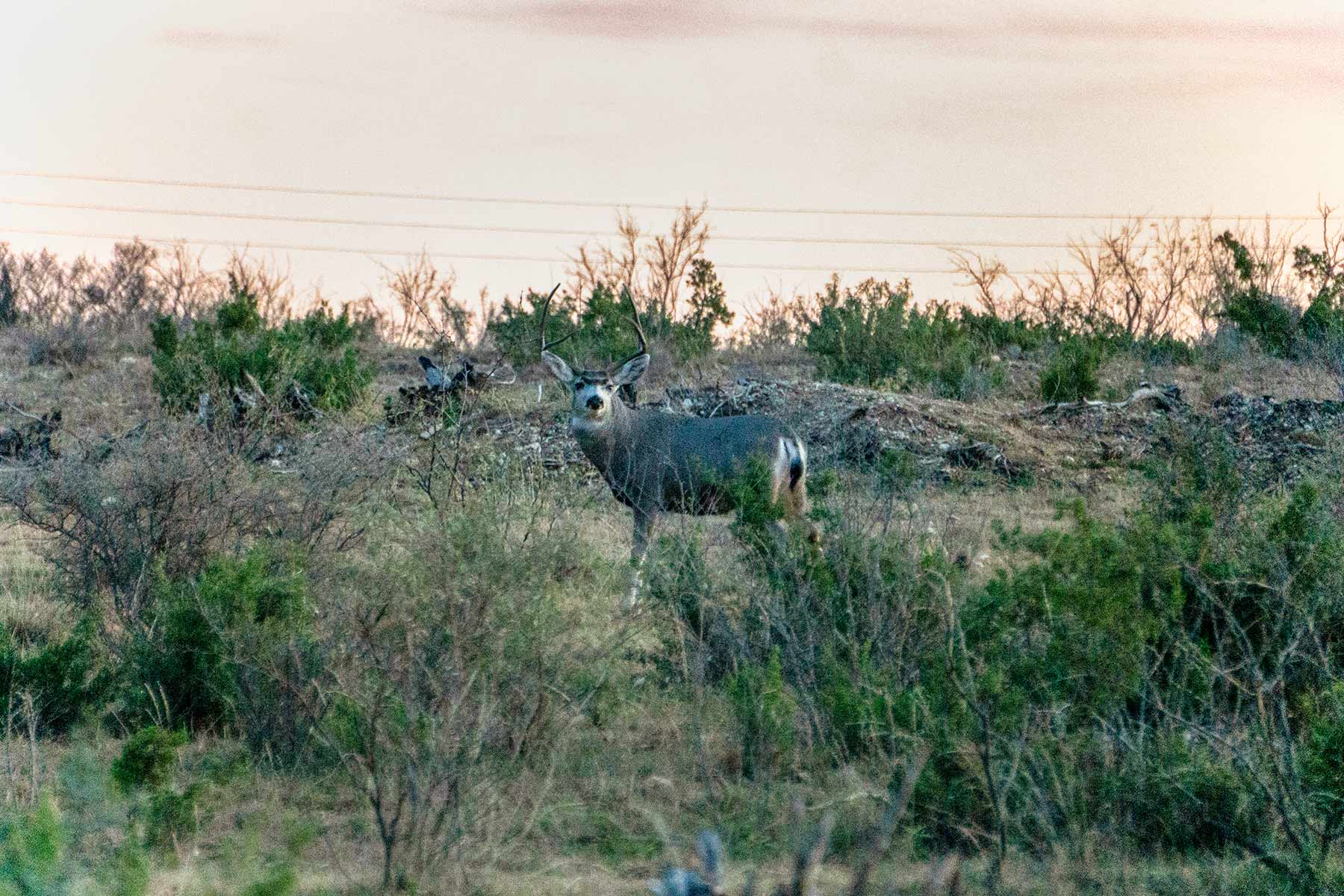 Water Canyon Ranch property picture 4 of 55